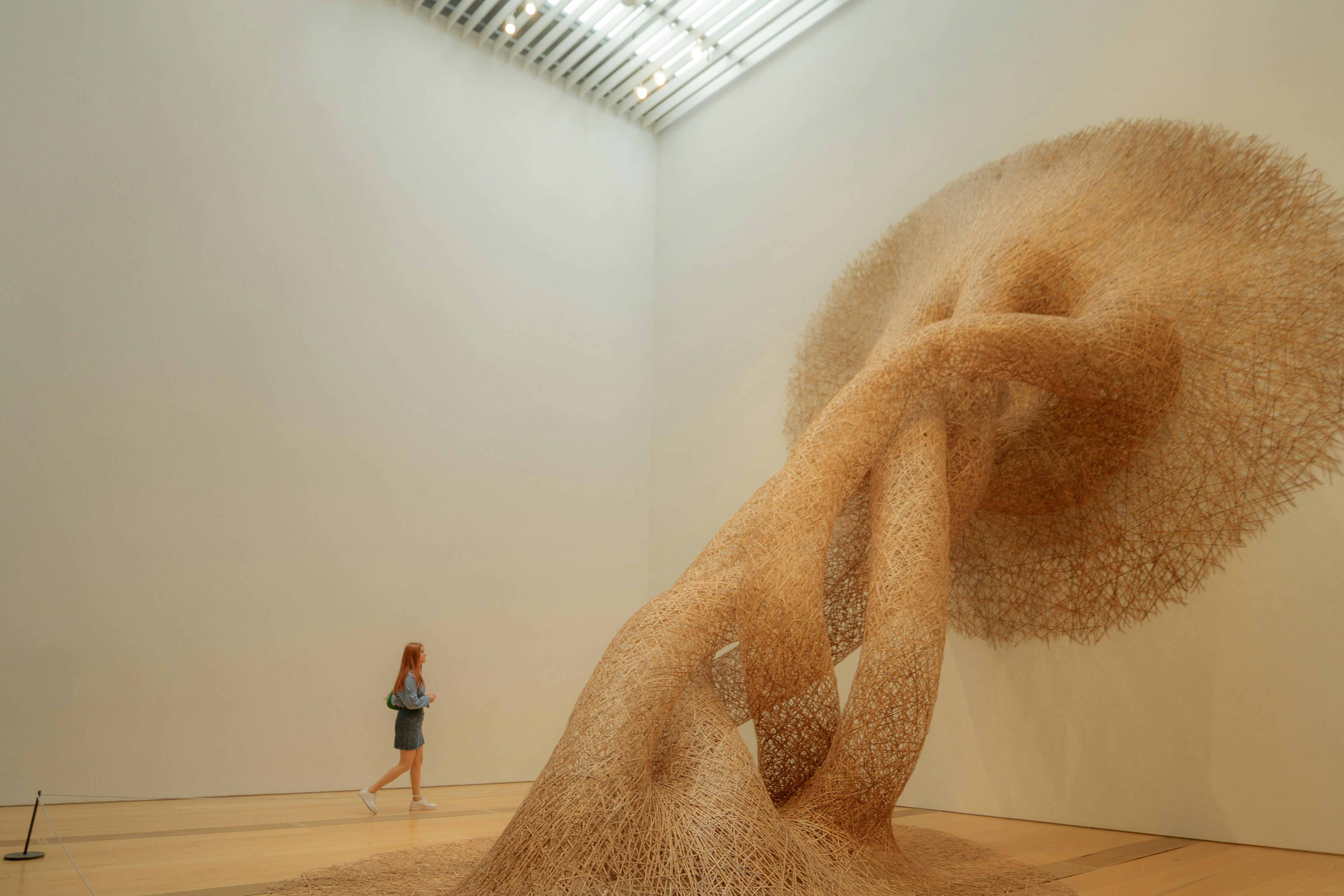 Contemporary art installation - art museum detroit michigan