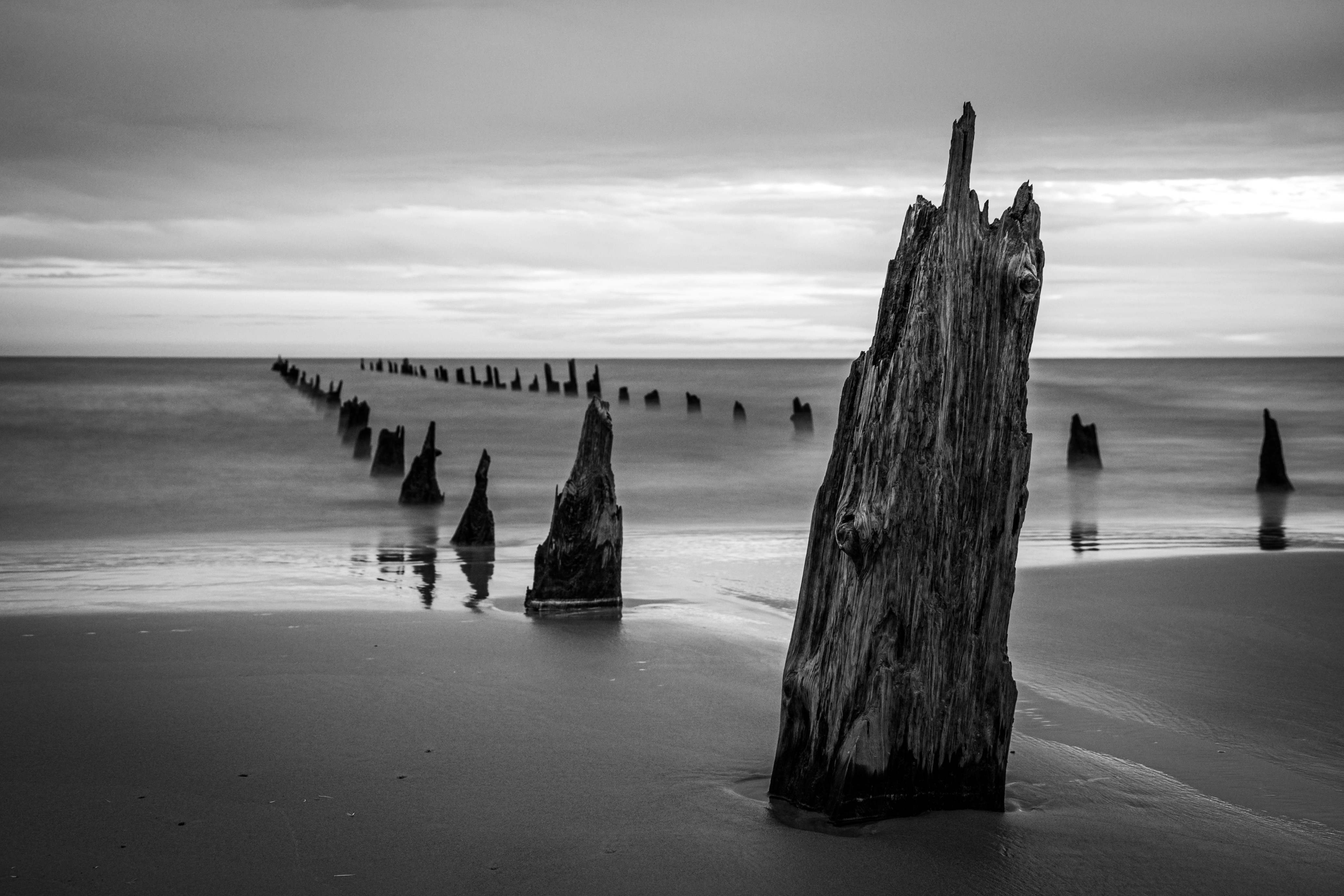 Wooden pilings stand in the ocean, black and white