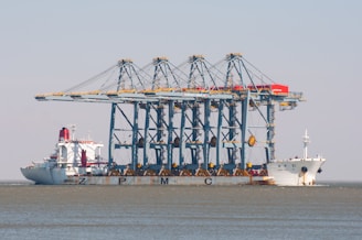 A ship carries large cranes at sea.