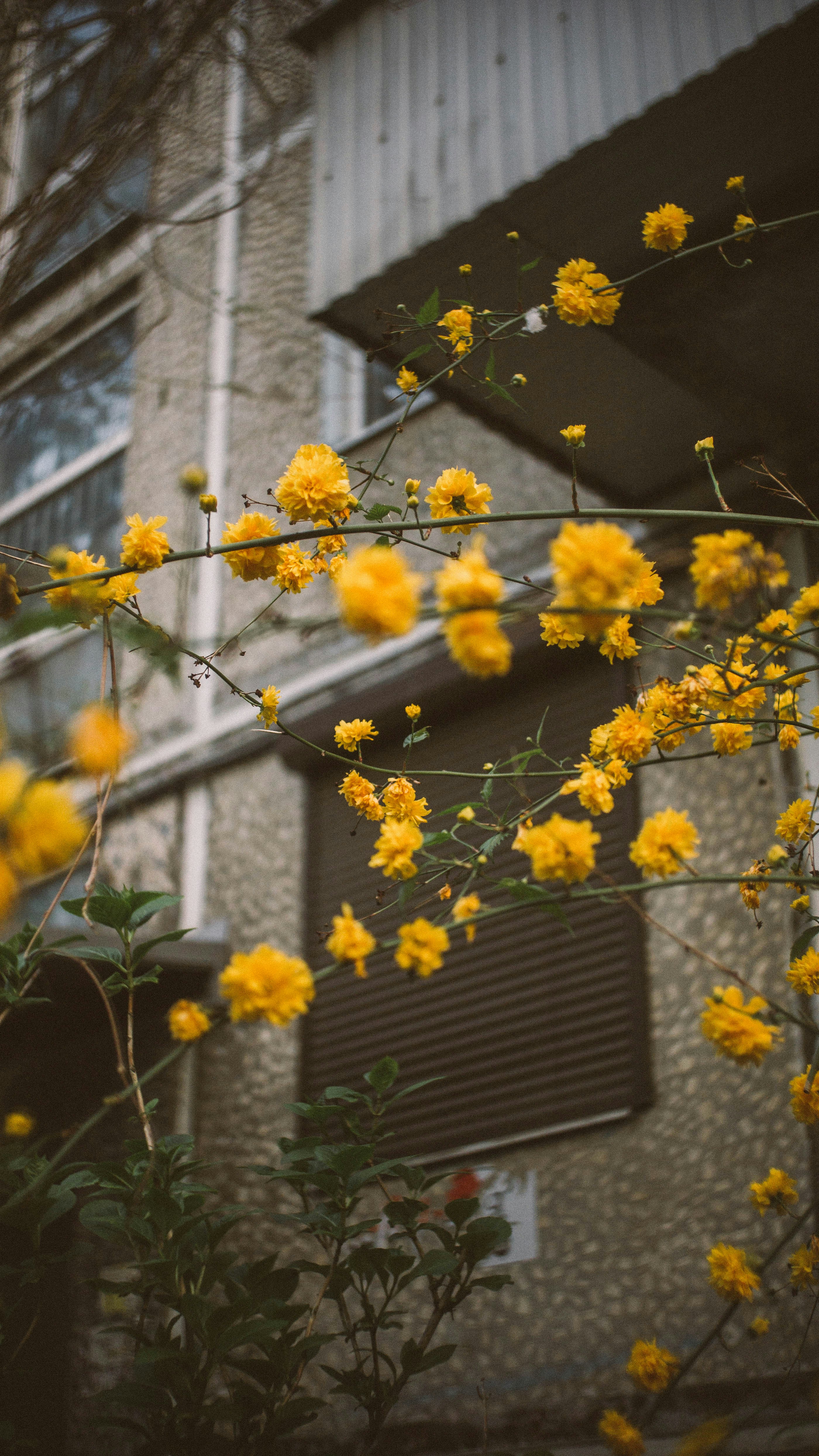 Photo by lisoview