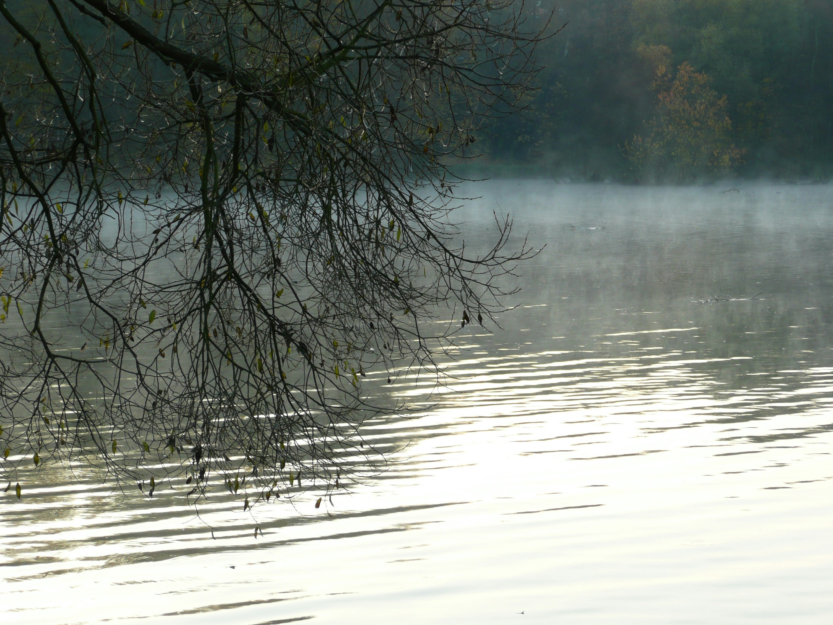 Photo by rohschnittcollagen