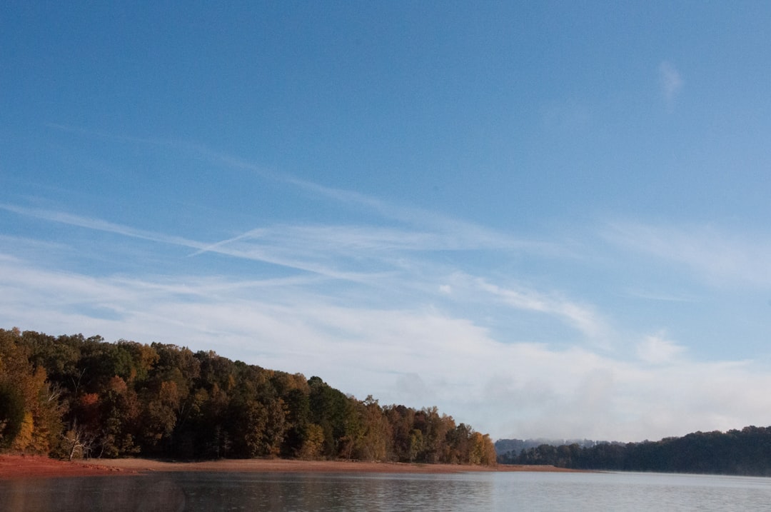 A lake reflects the blue sky and forest.