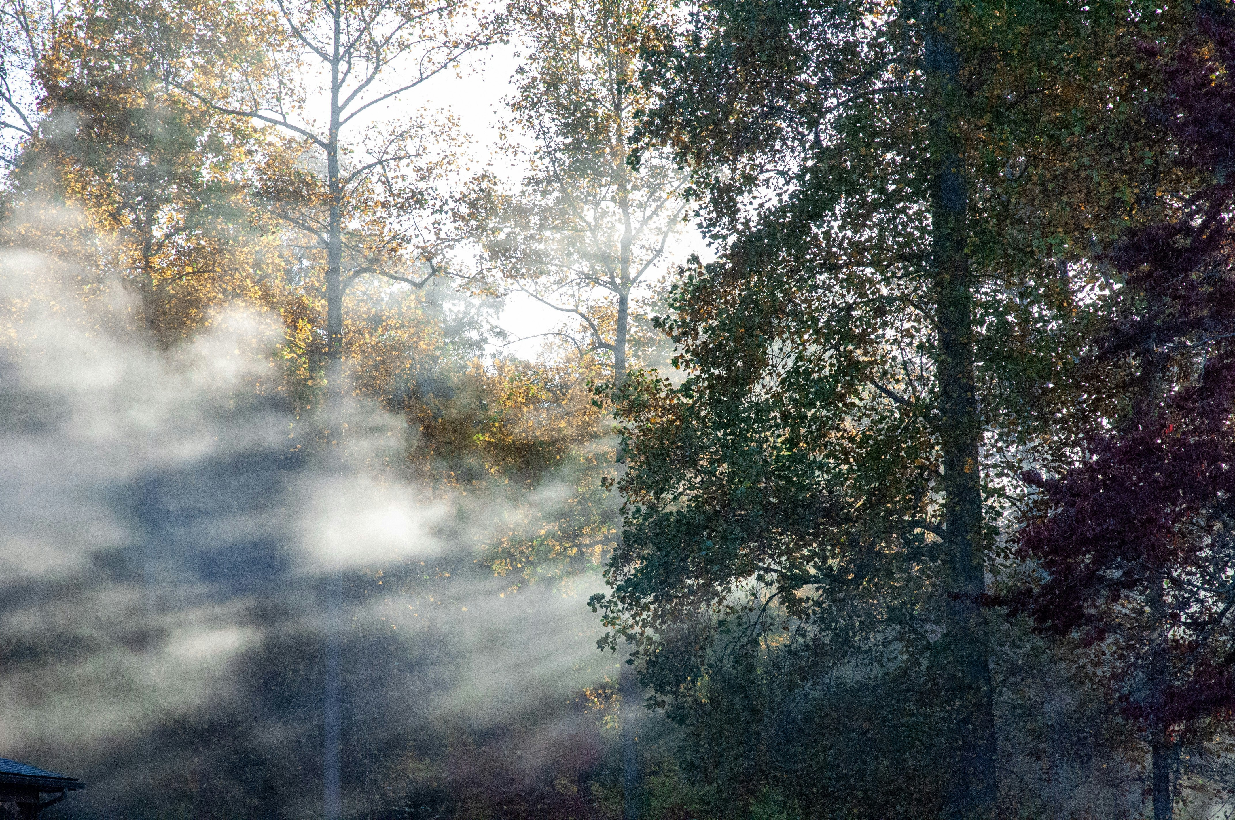 Photo by ryleighhenschen