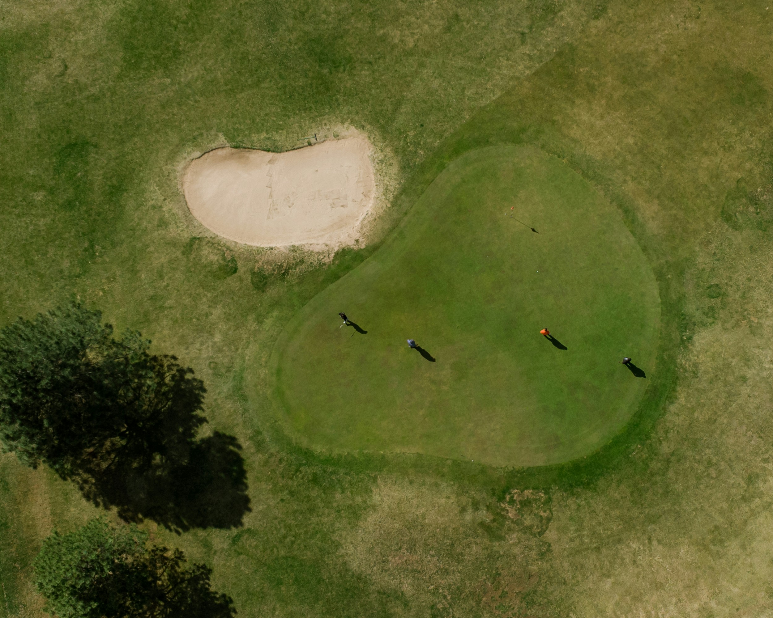Golfers are seen on a green near a sand trap.