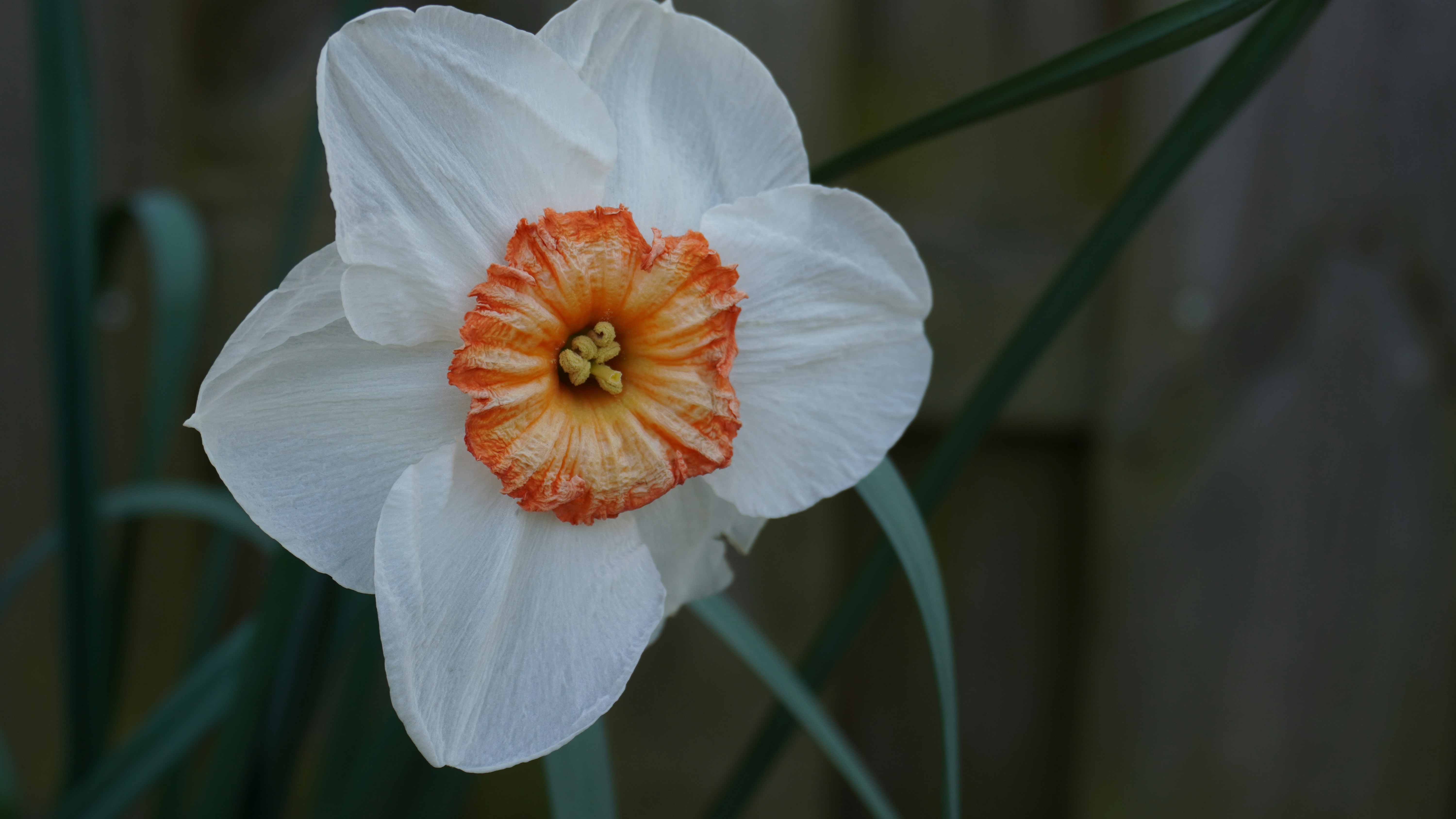 Photo by coco_co1102