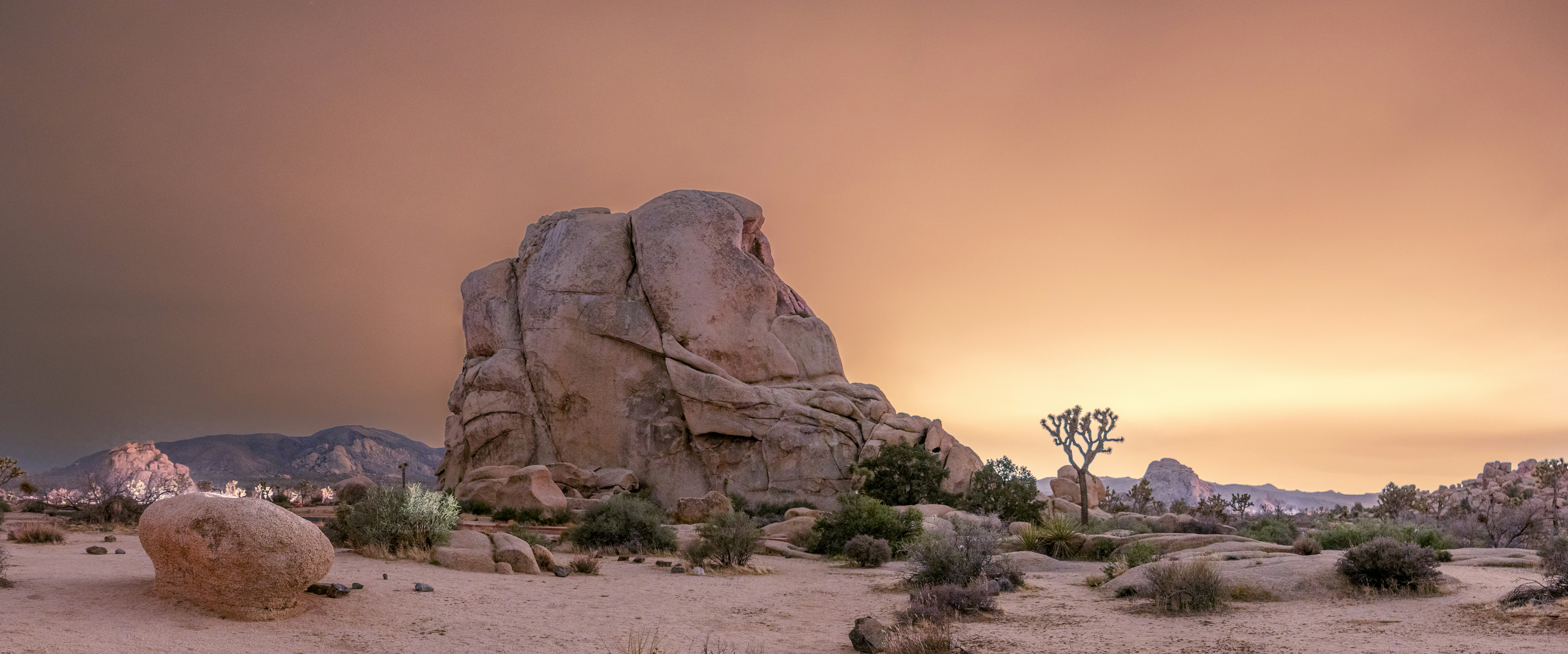 Ease Guidelines For Authors And Translators Of Scientific Articles To Be Published In English