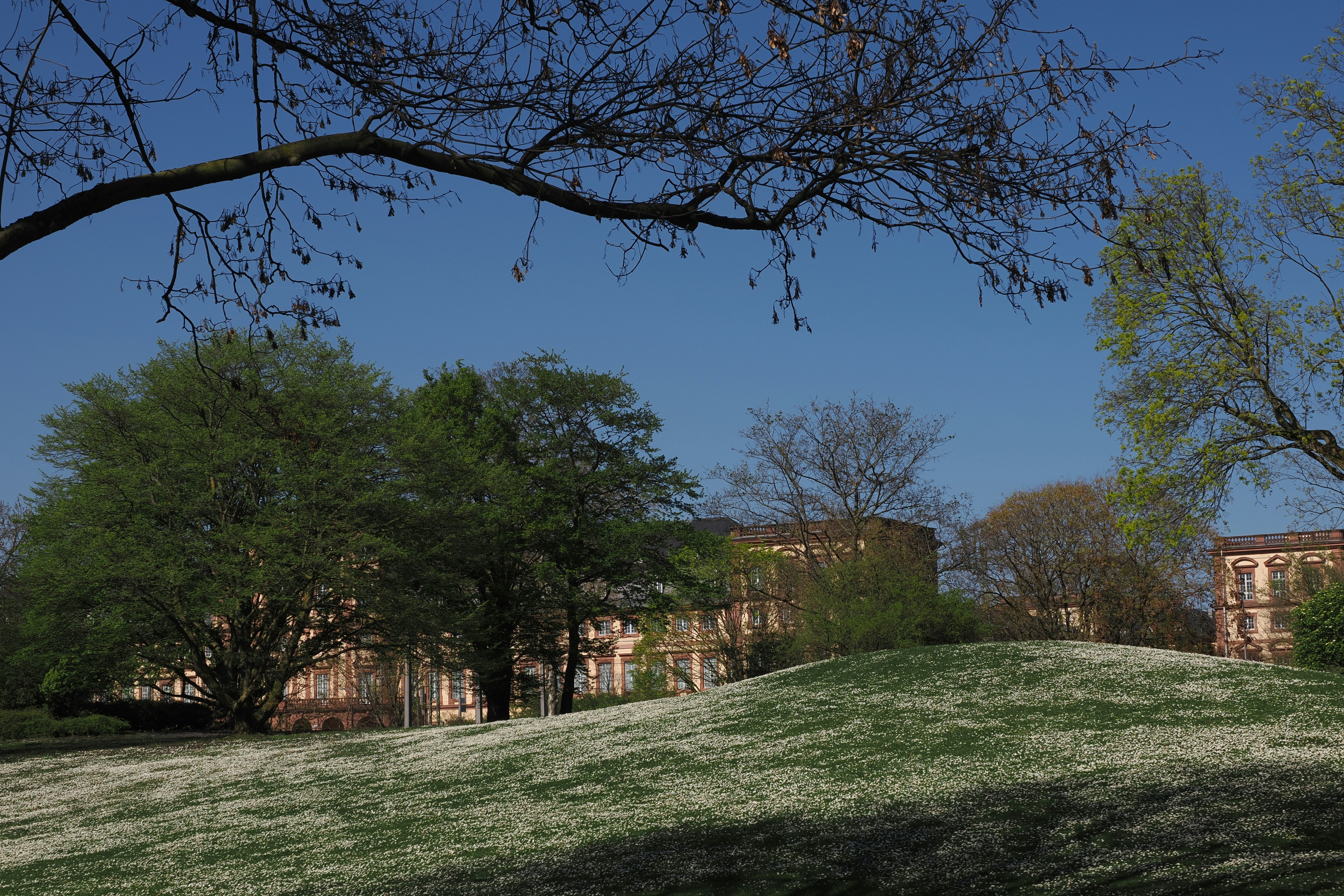 Photo by fotografie_thomas_nolte