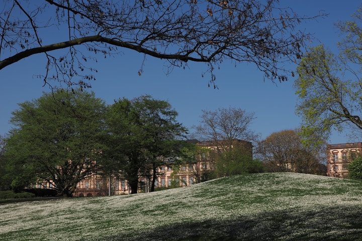 Tufts University