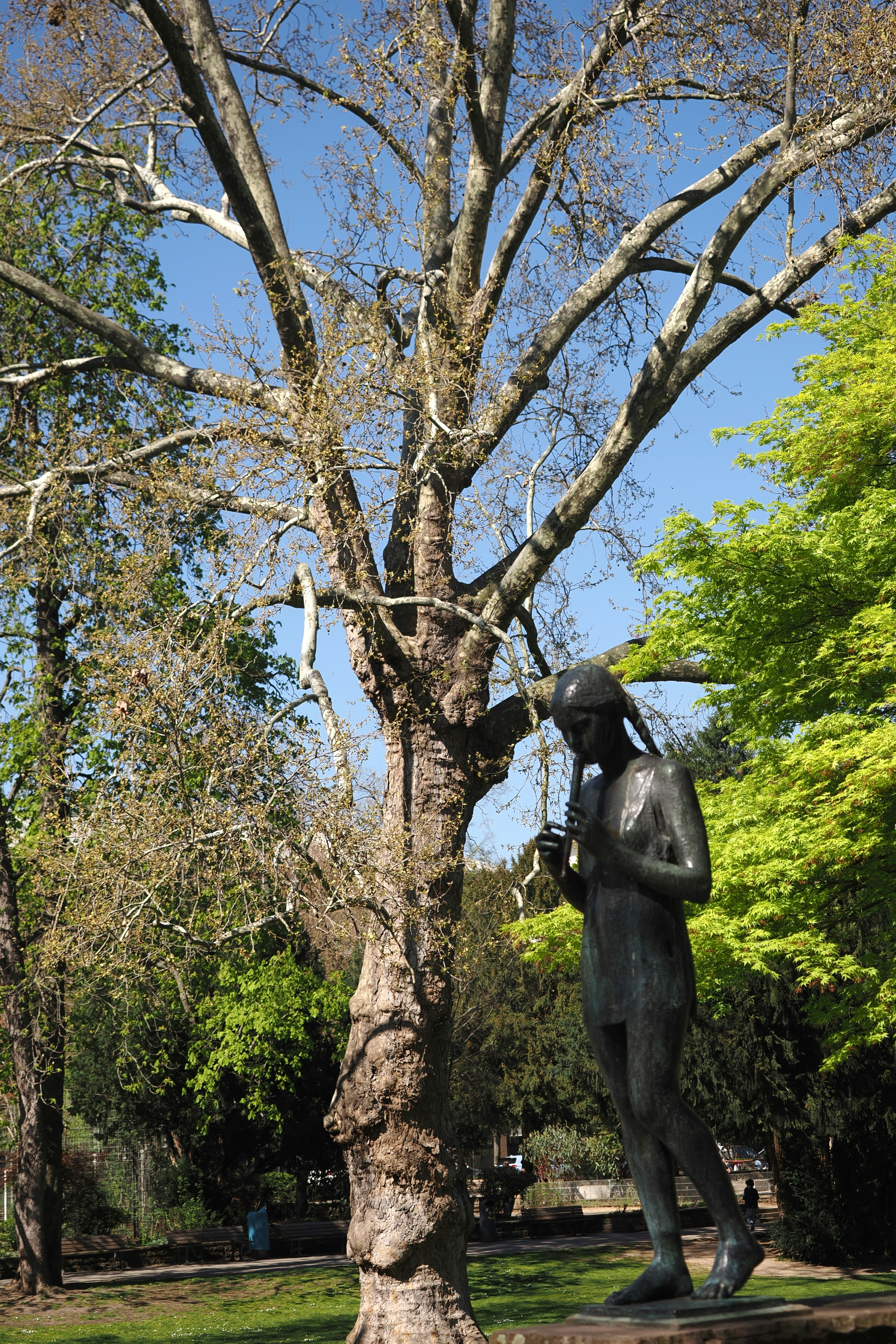 Photo by fotografie_thomas_nolte