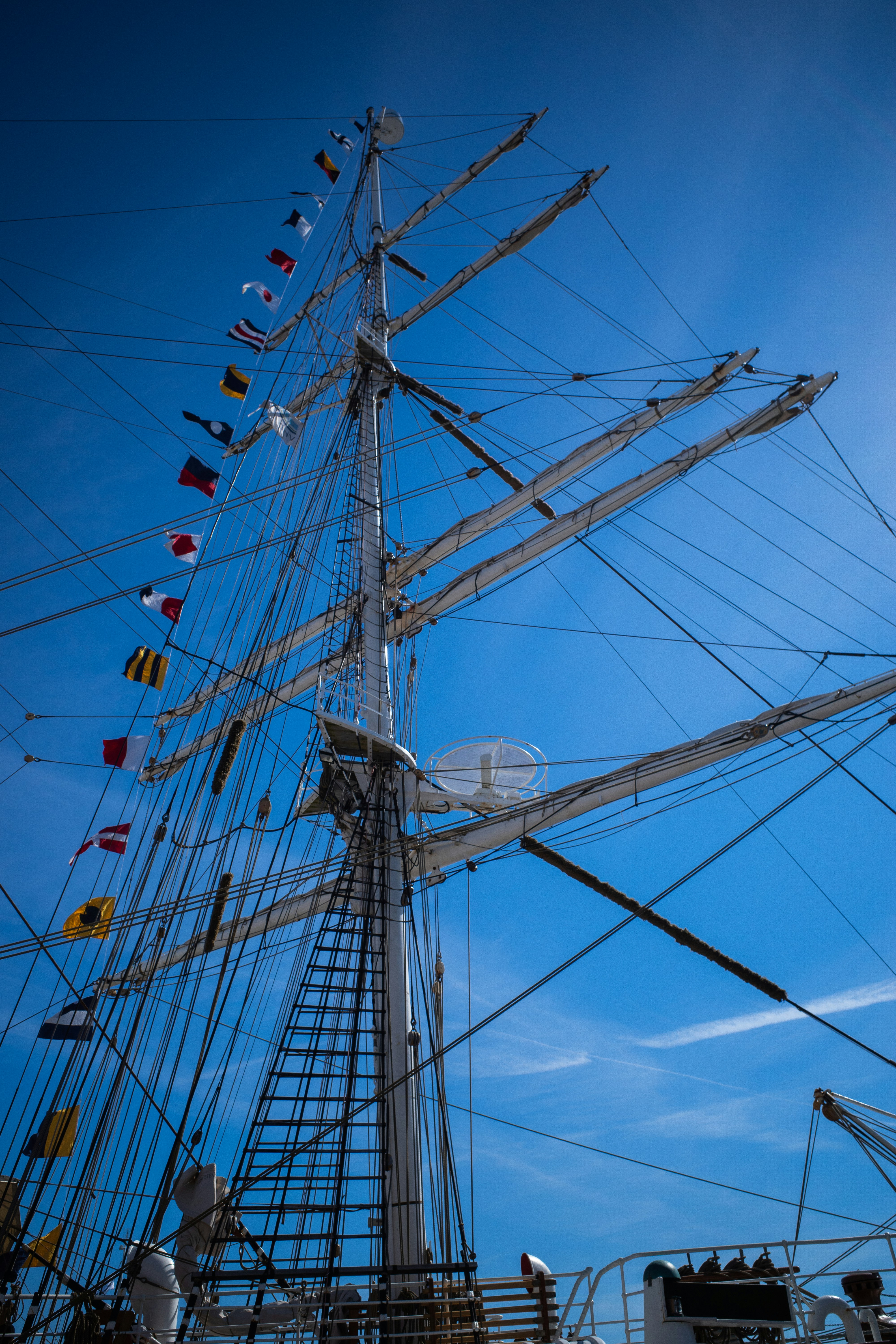 Photo by gunnarridder