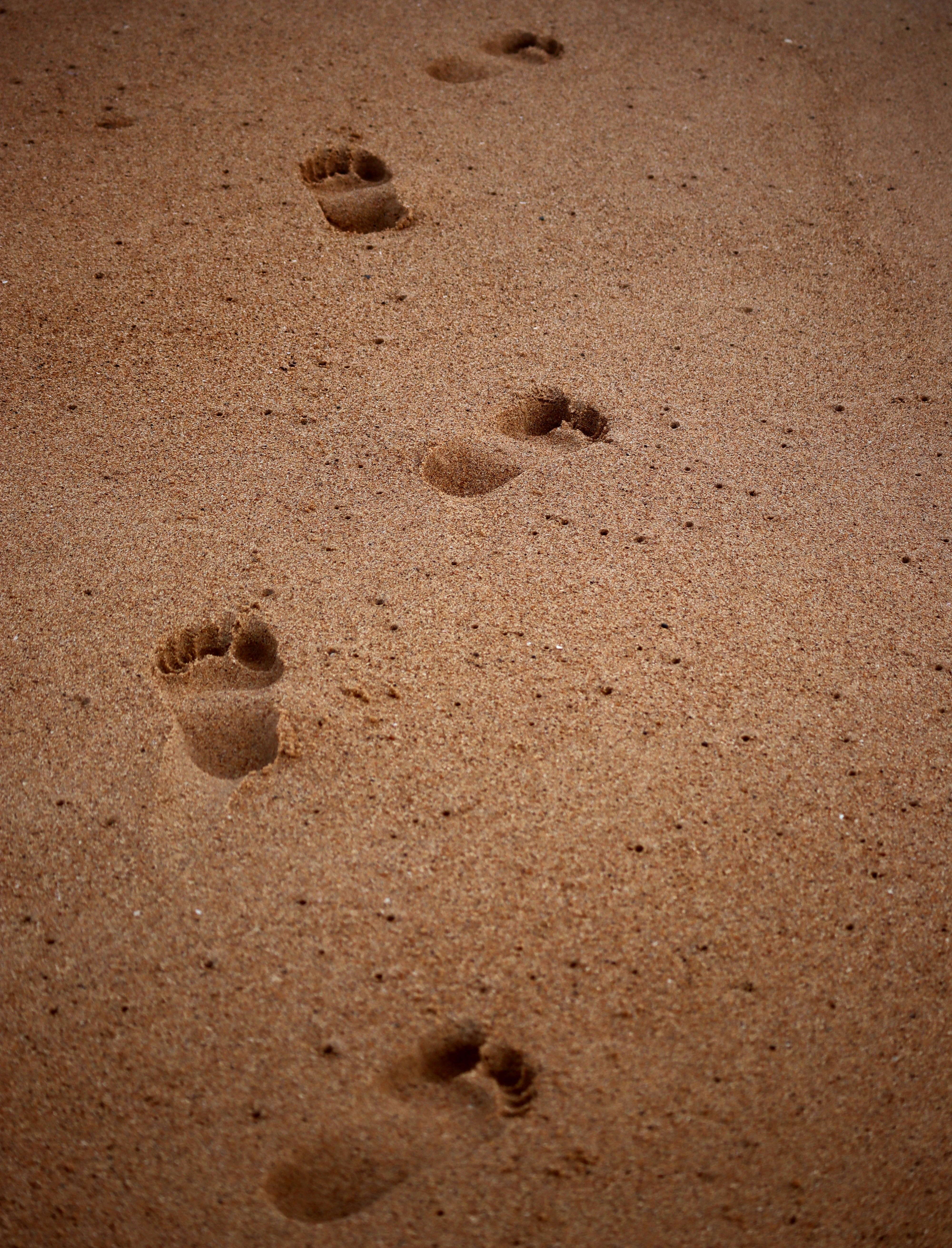 Footprints are imprinted in the soft, wet sand.