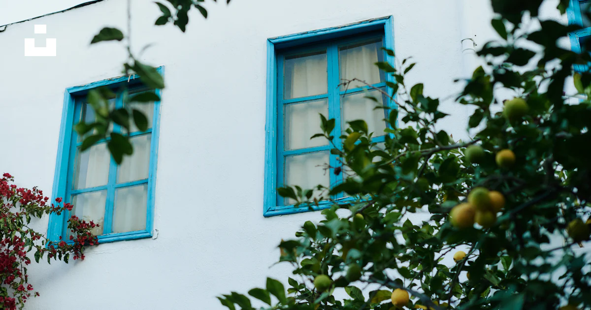 White building with blue windows surrounded by foliage. photo – Free ...