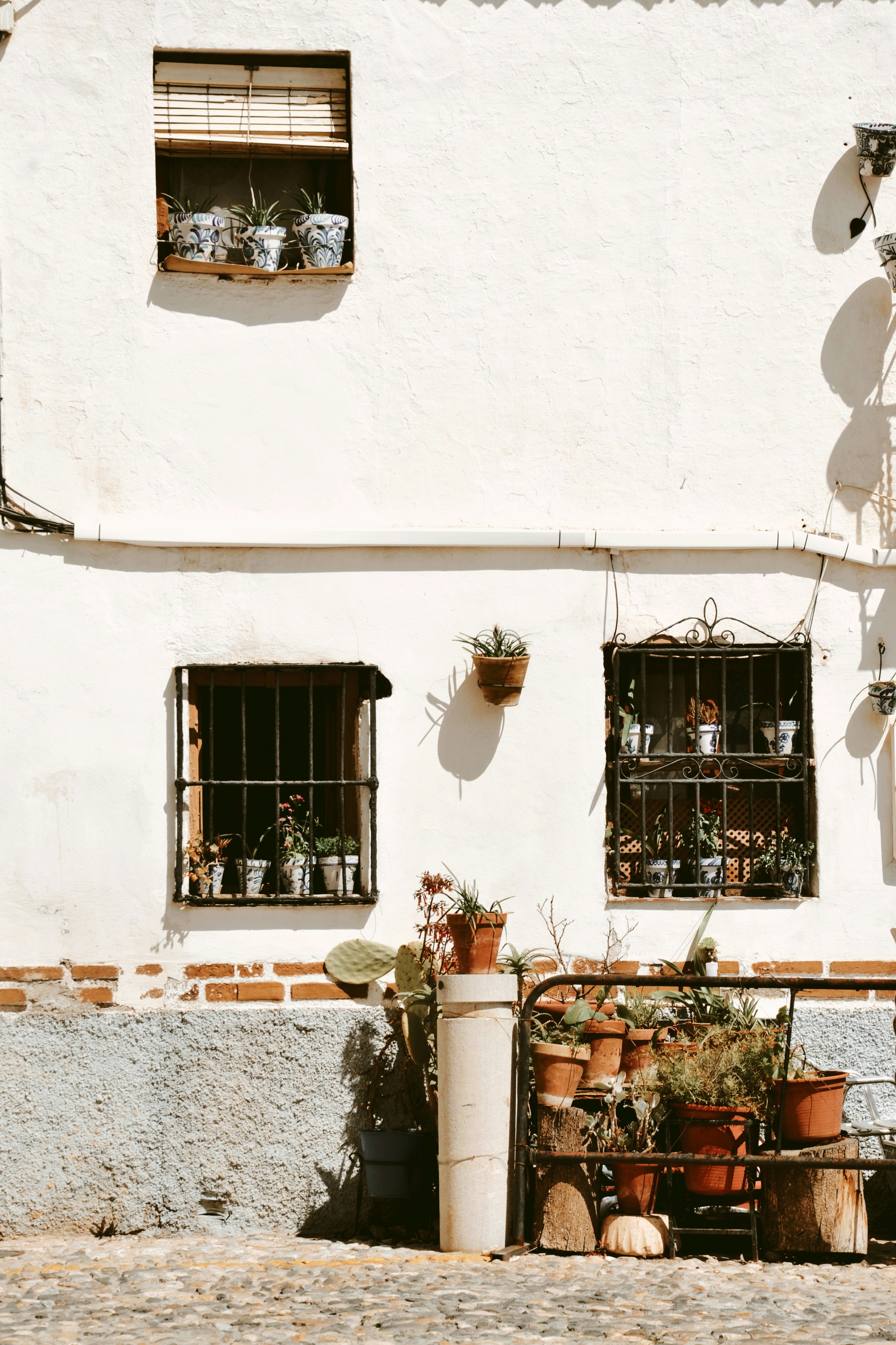 Photo by anivardiero