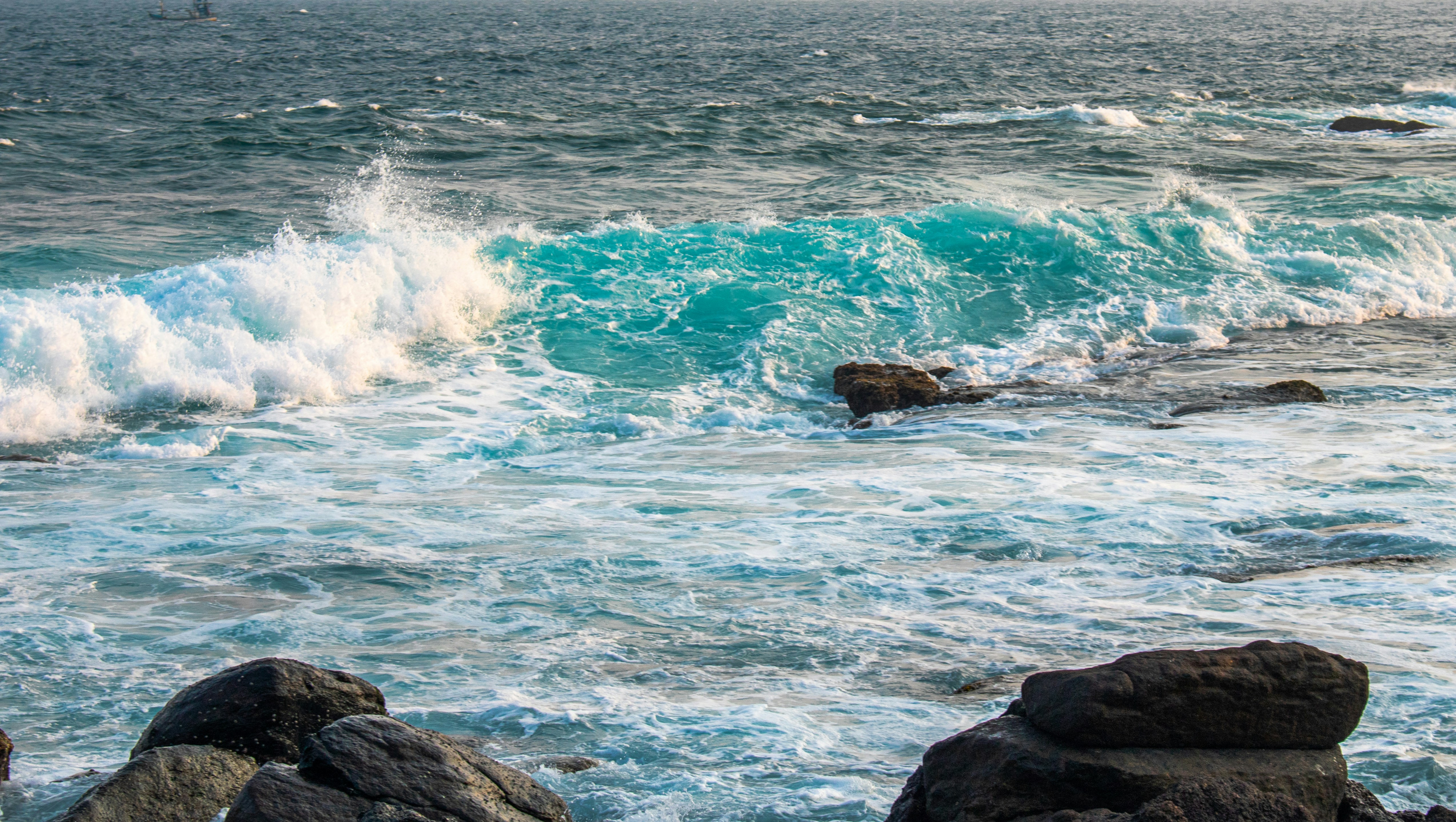 Photo by zoshuacolah