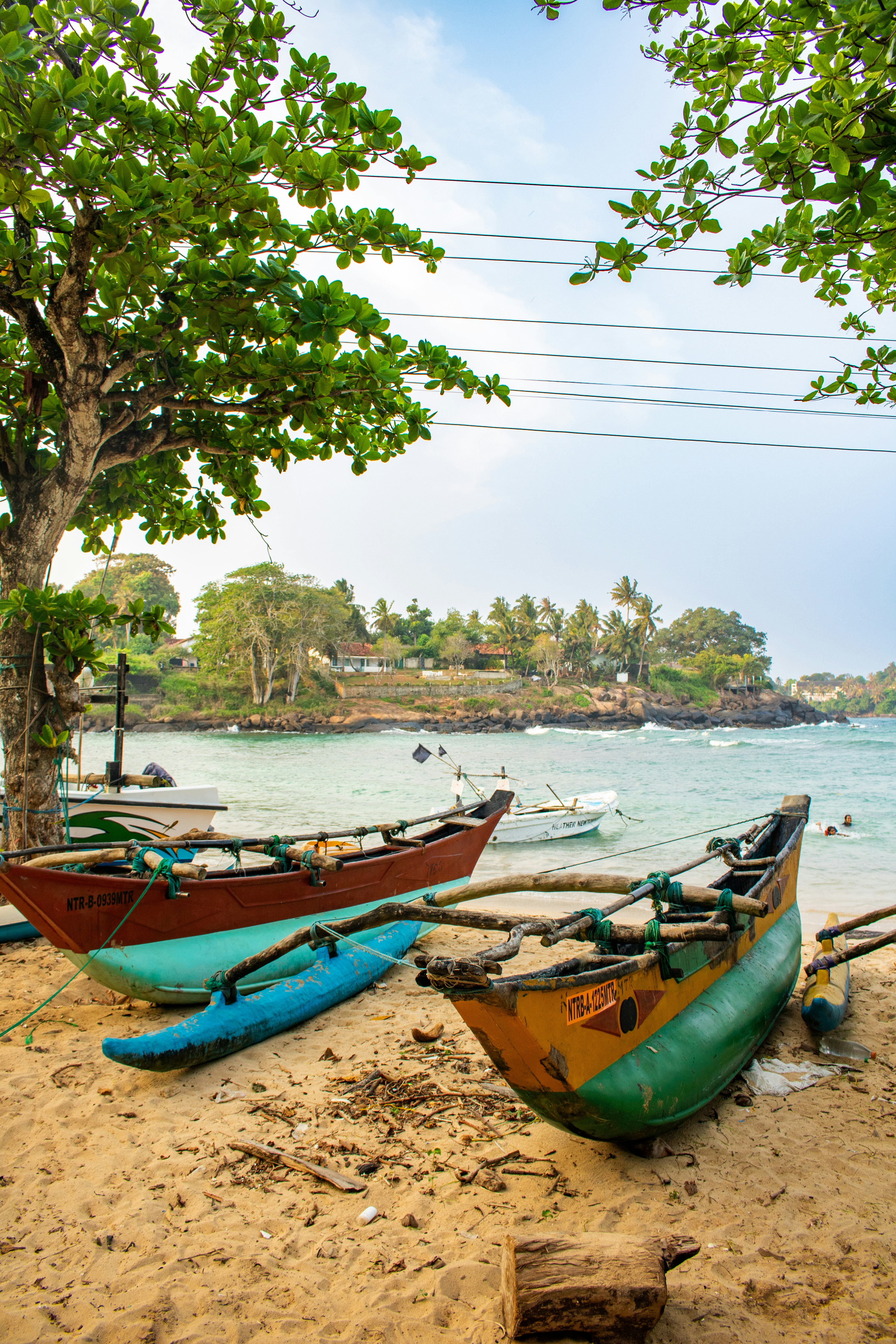 Photo by zoshuacolah