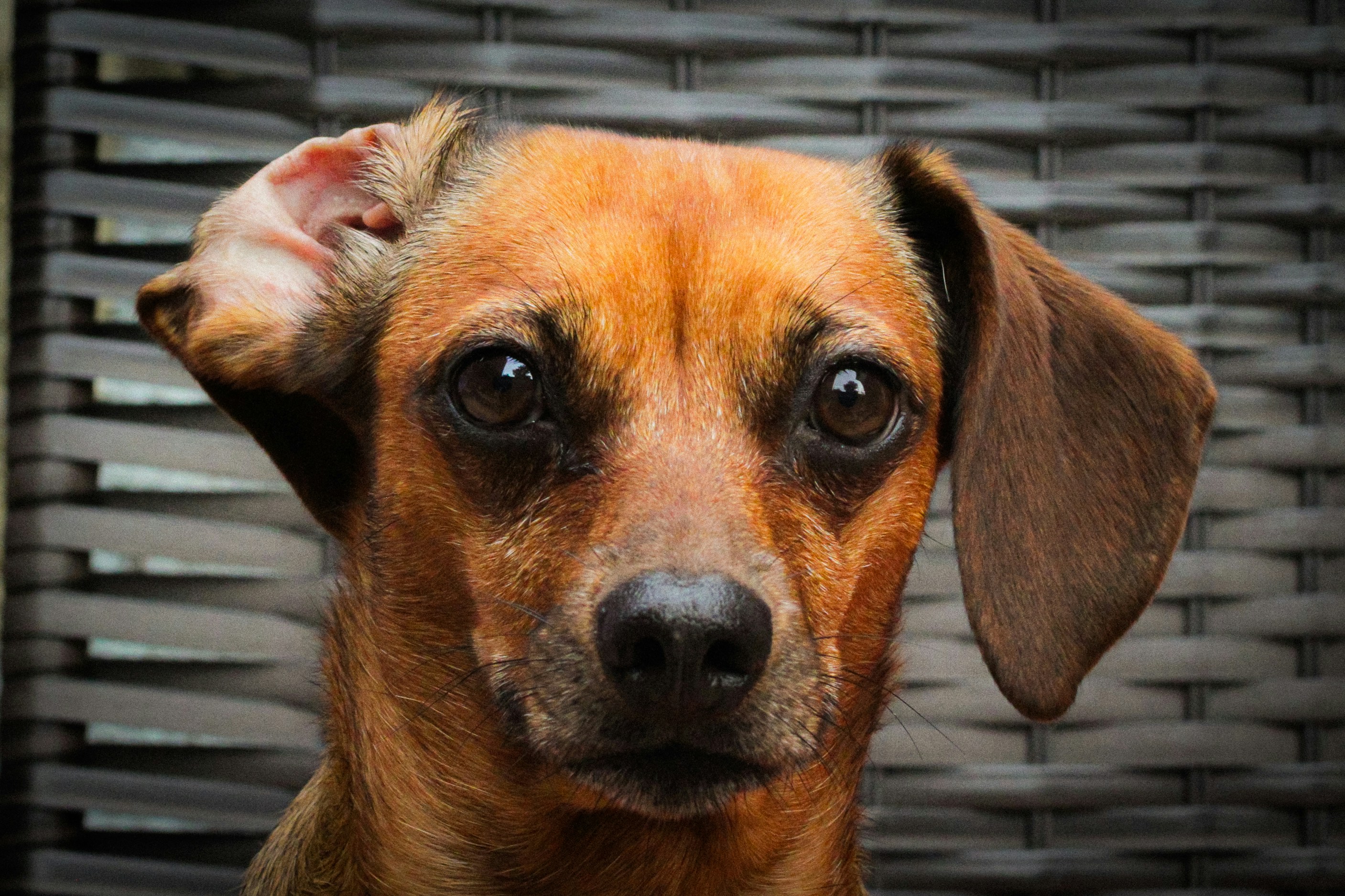 Photo by photos_muka