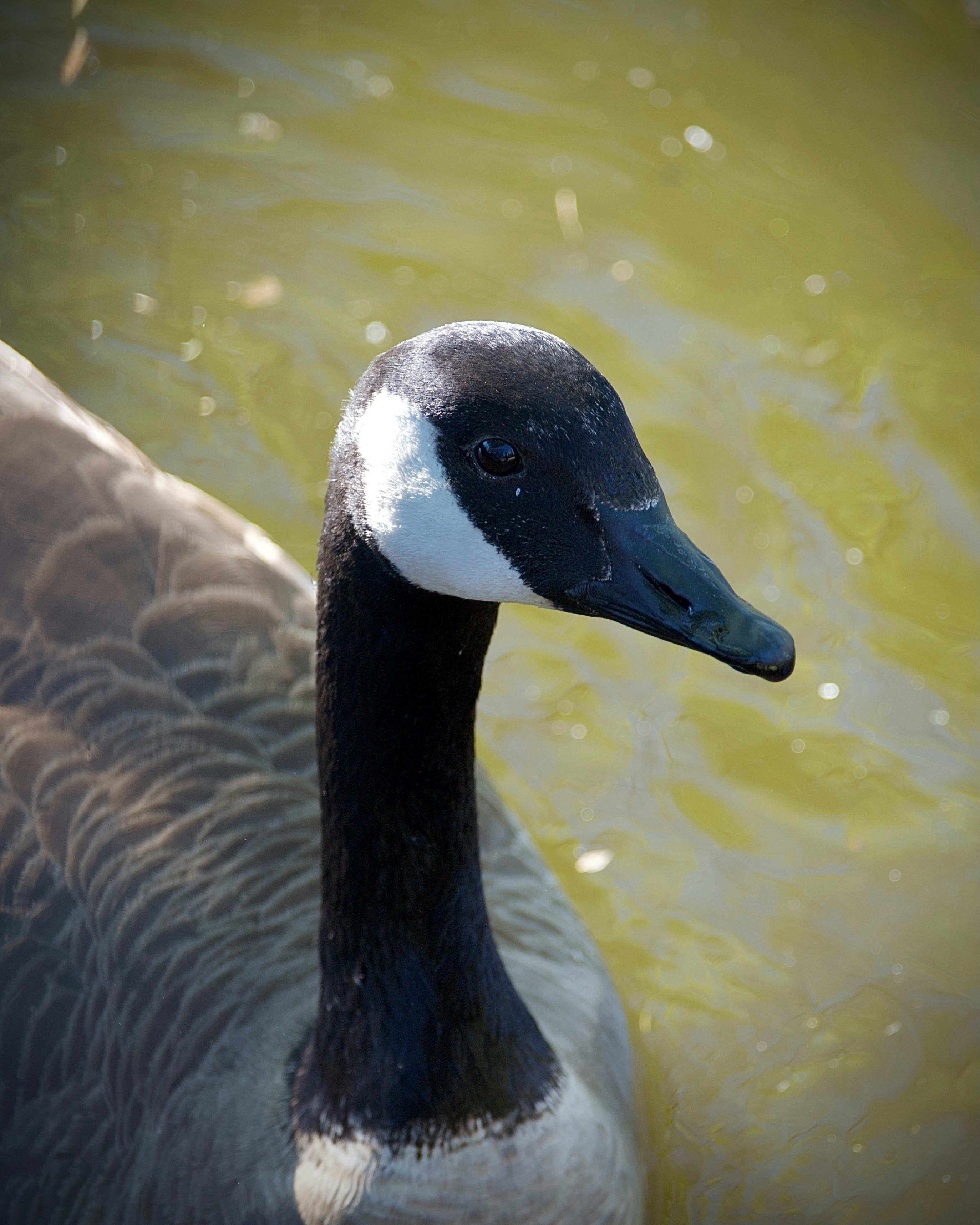 Photo by kristinadanielian