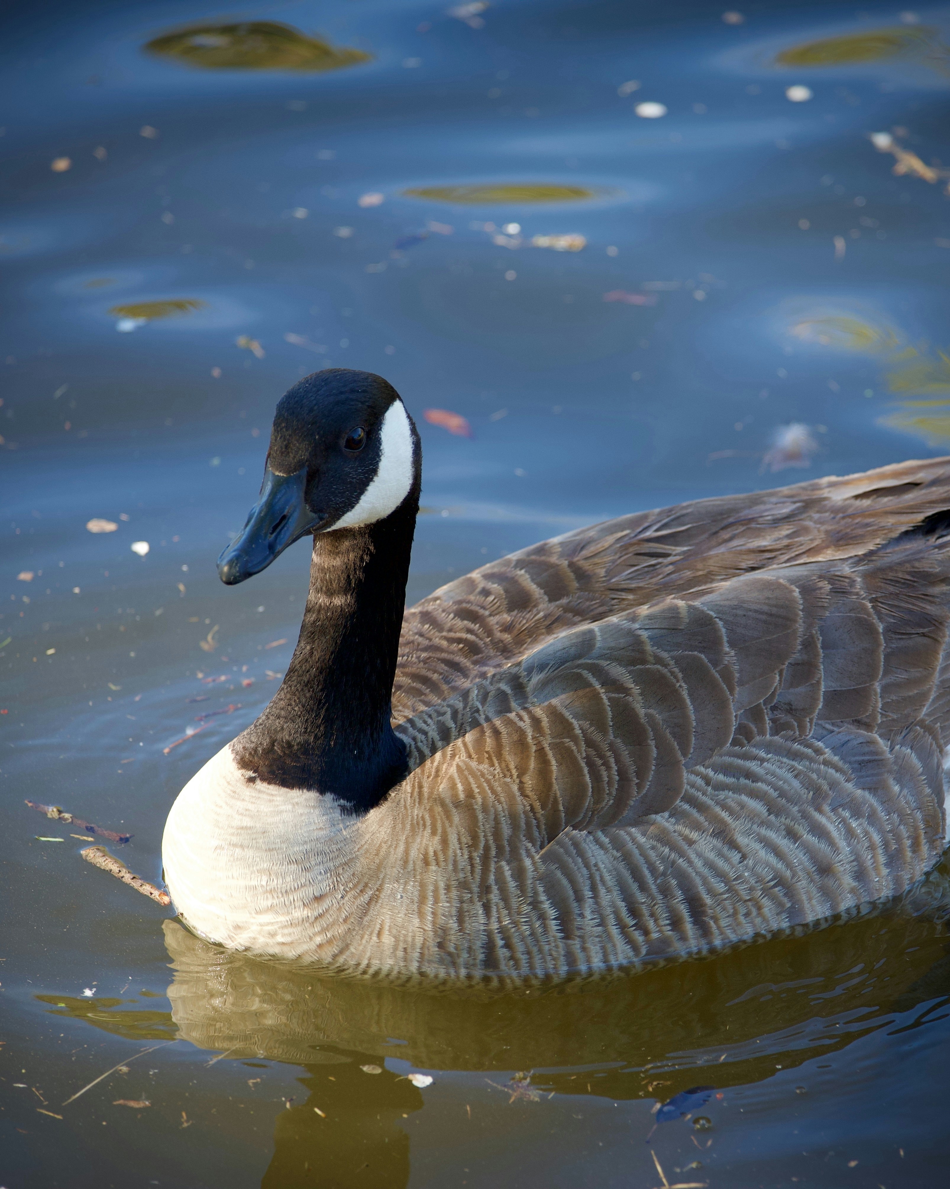 Photo by kristinadanielian