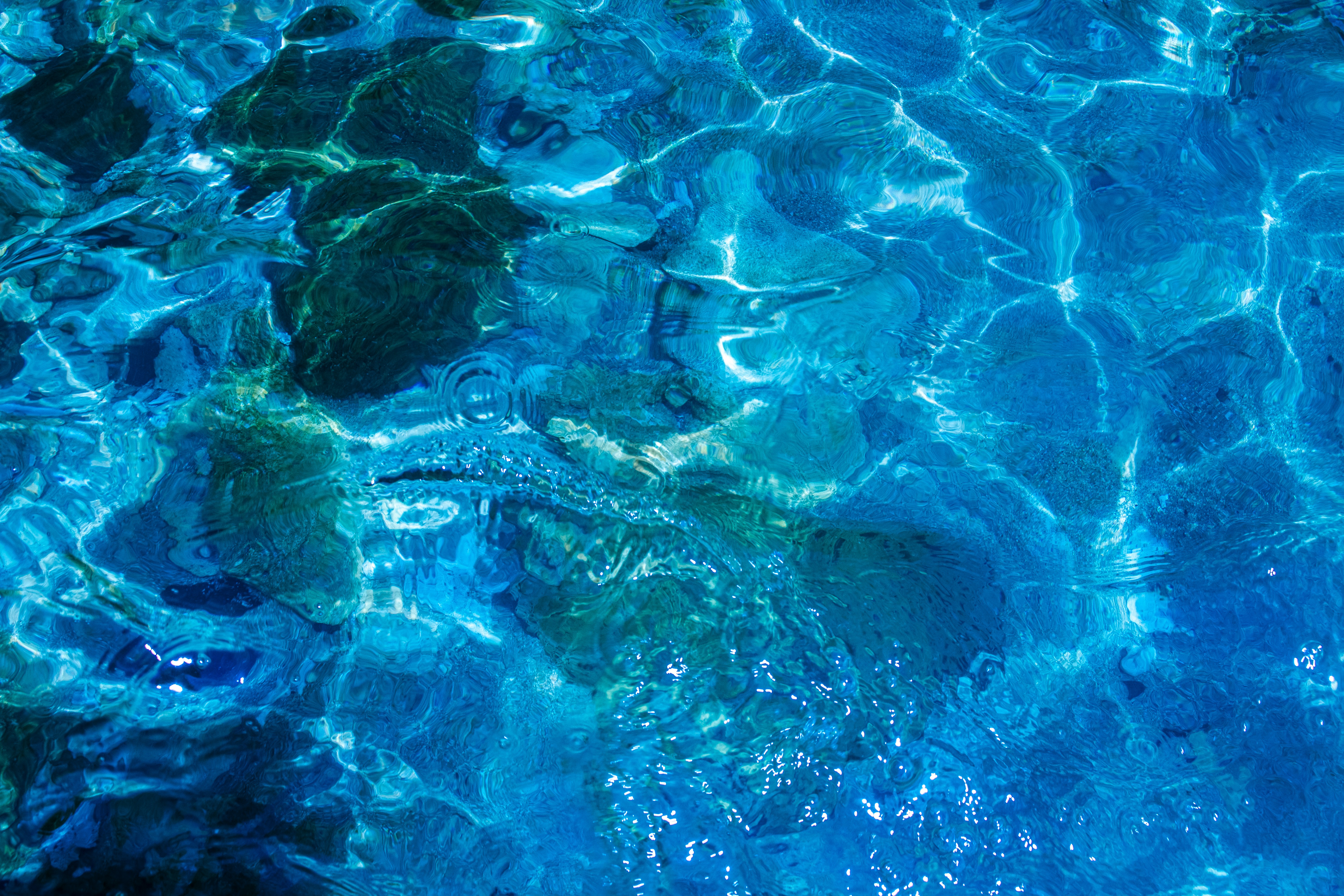 Photo by zoshuacolah