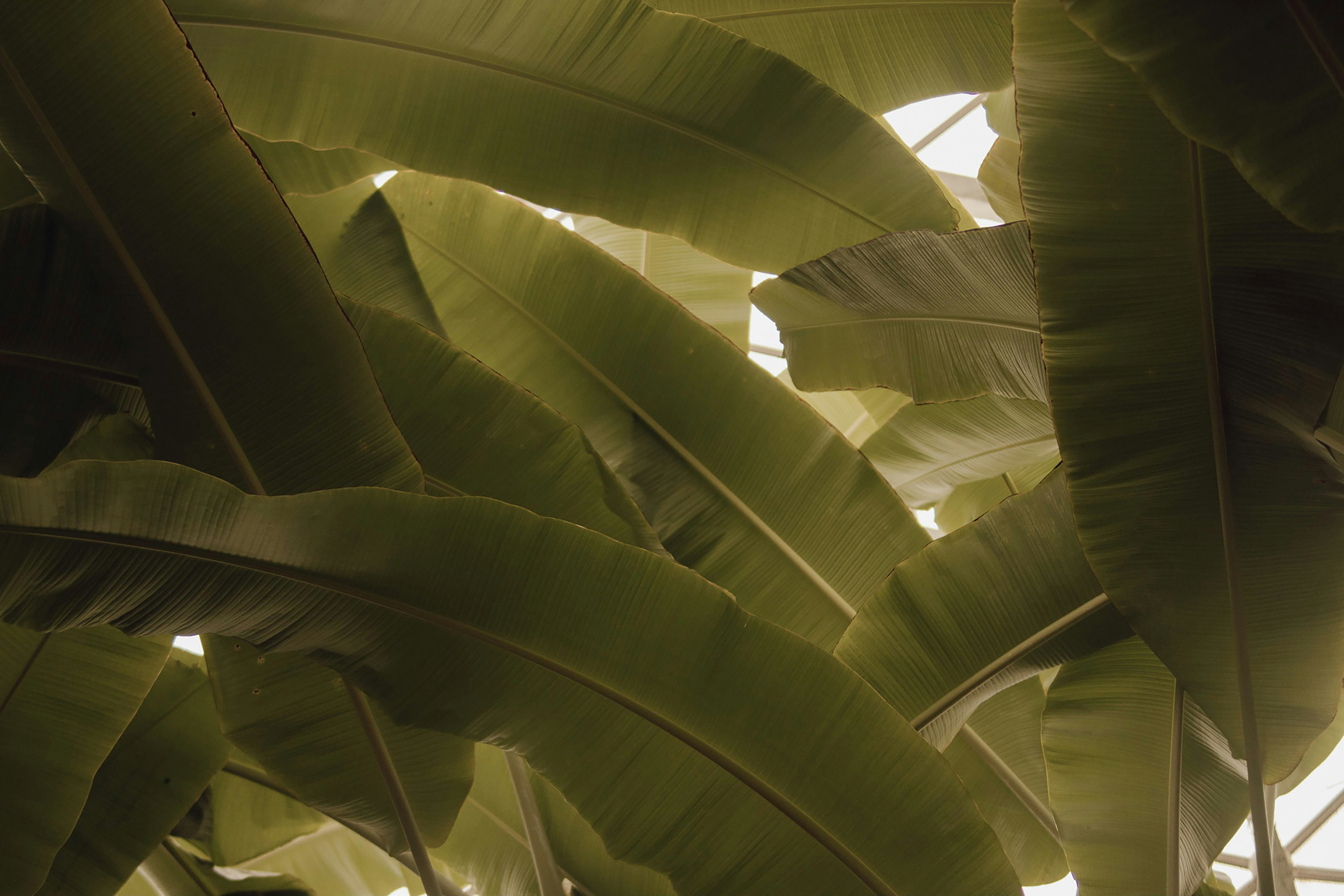 Photo by gnarlyninetyfour