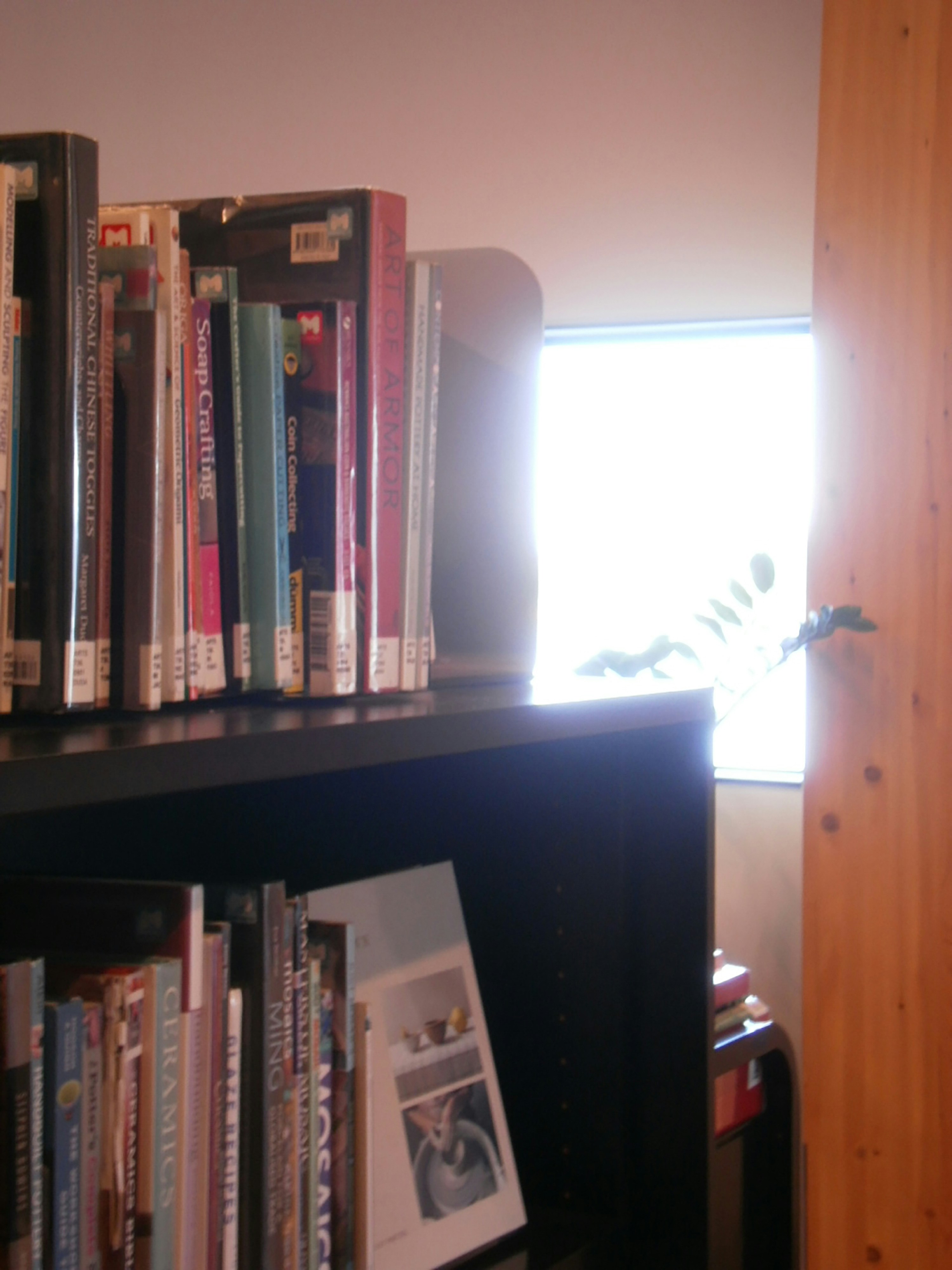 Bookshelf with various books next to a bright window.