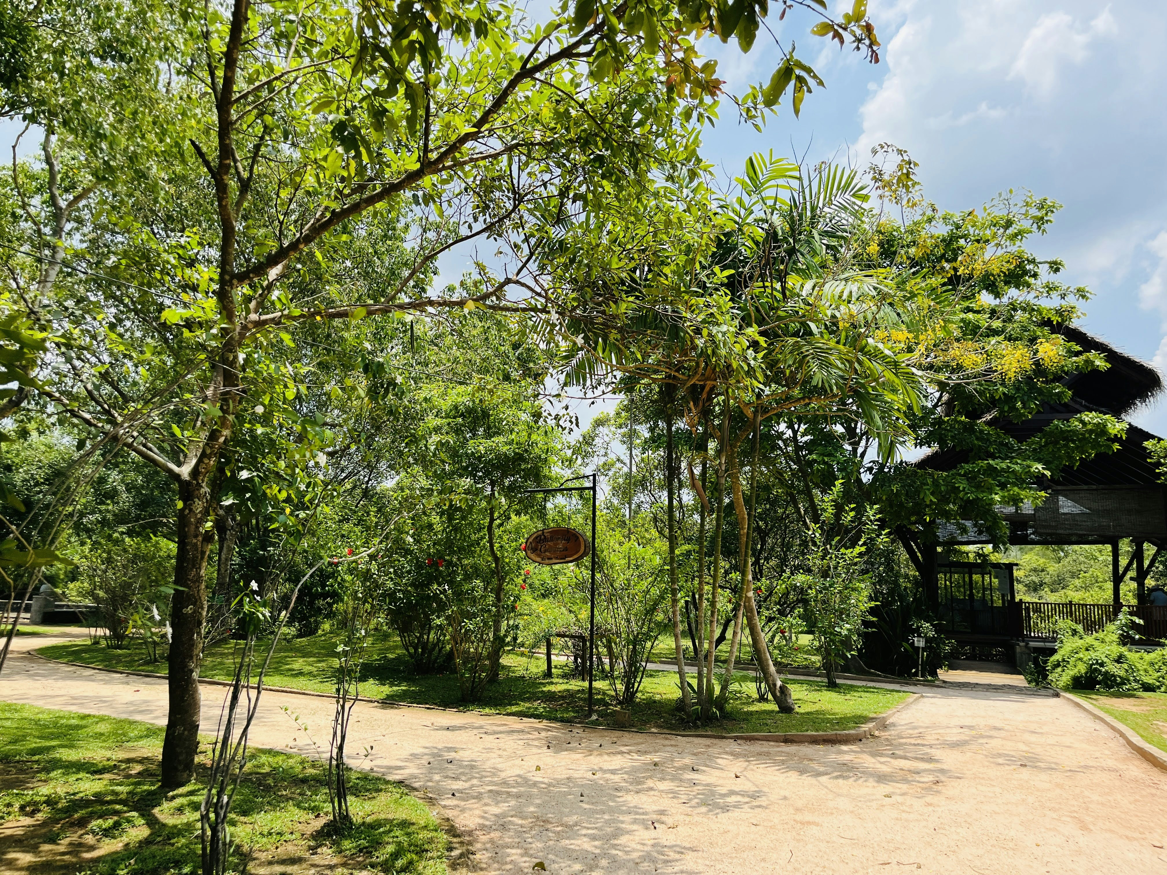 A green landscape with trees and pathways.