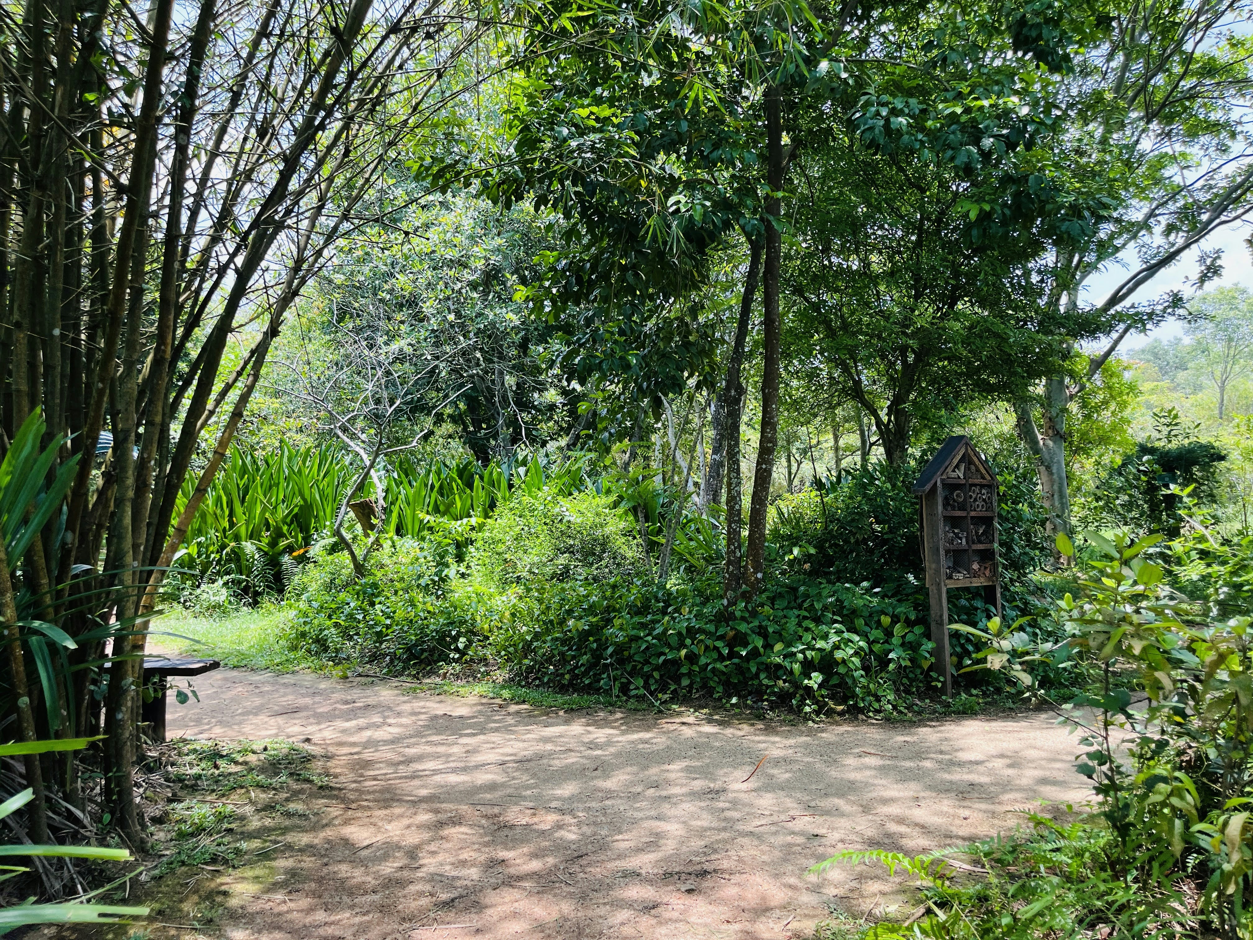 Pune Okayama Friendship Garden photo 2