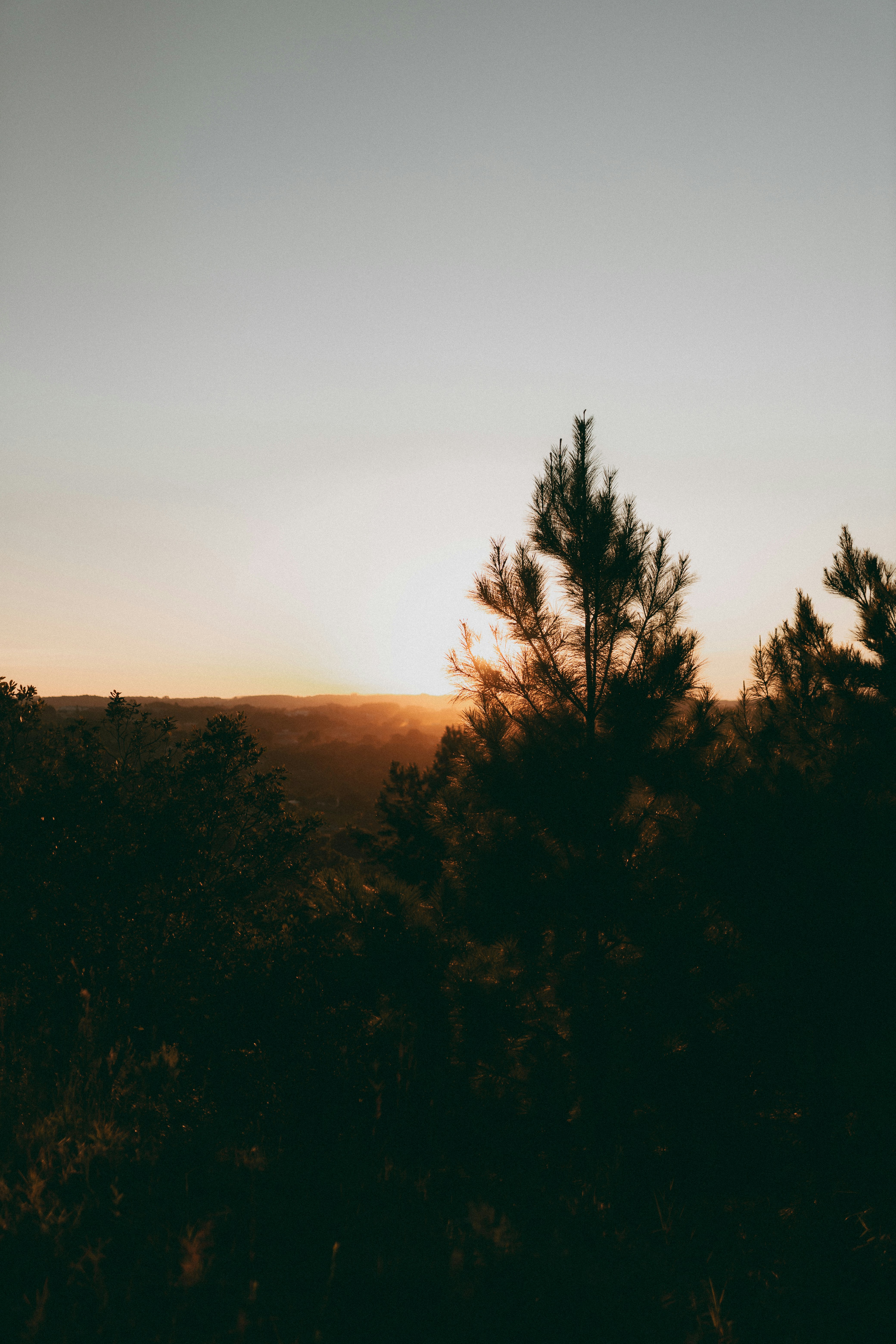 Photo by alexandermassph