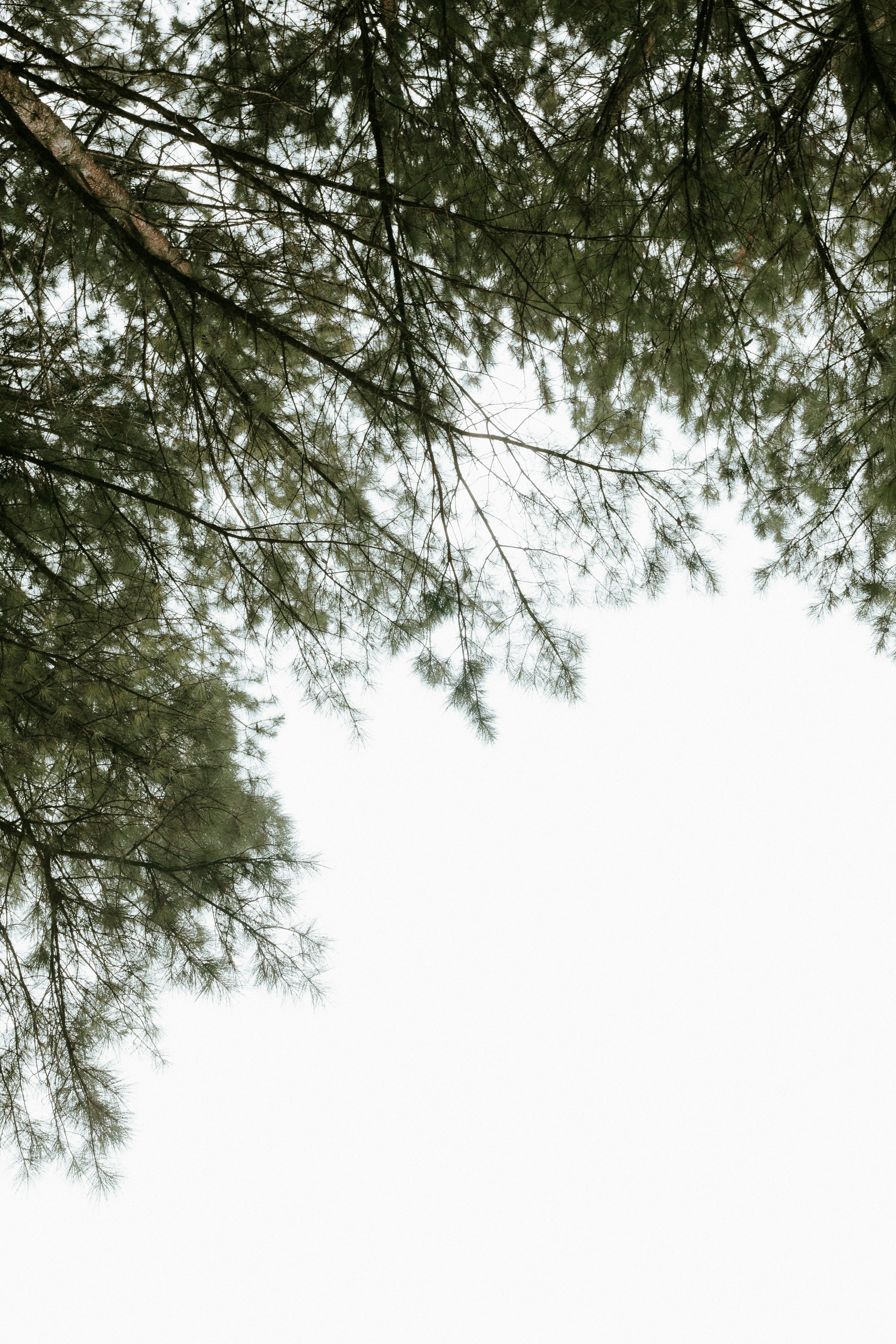 Photo by alexandermassph