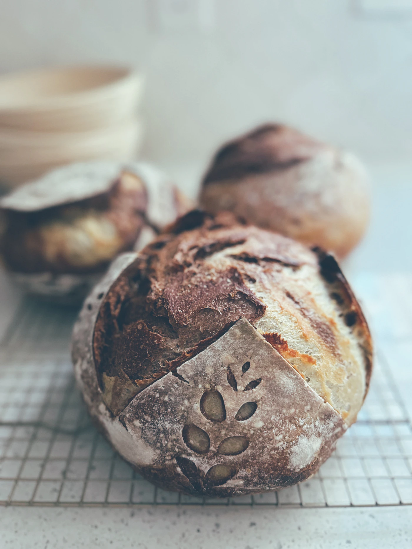 Fresh sourdough loaves cooling on a wire rack