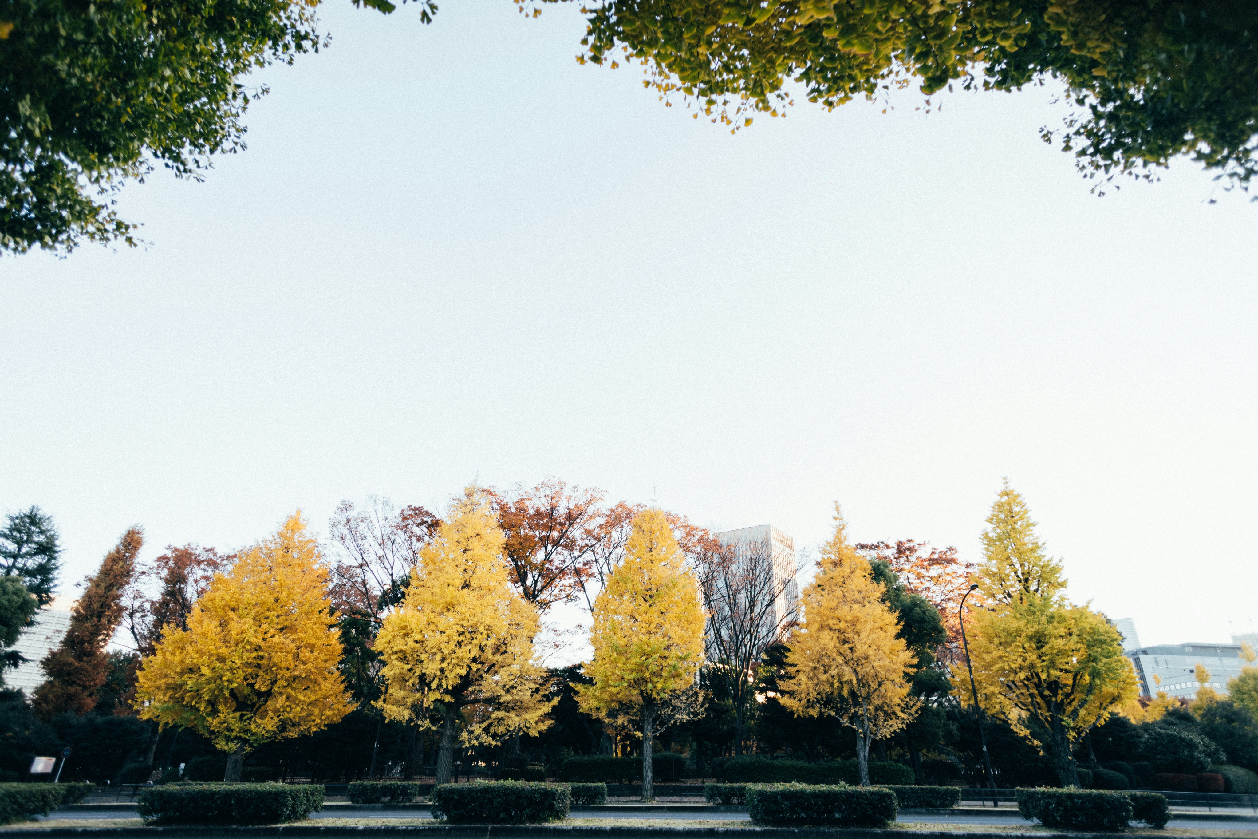 Photo by tsuyoshikozu