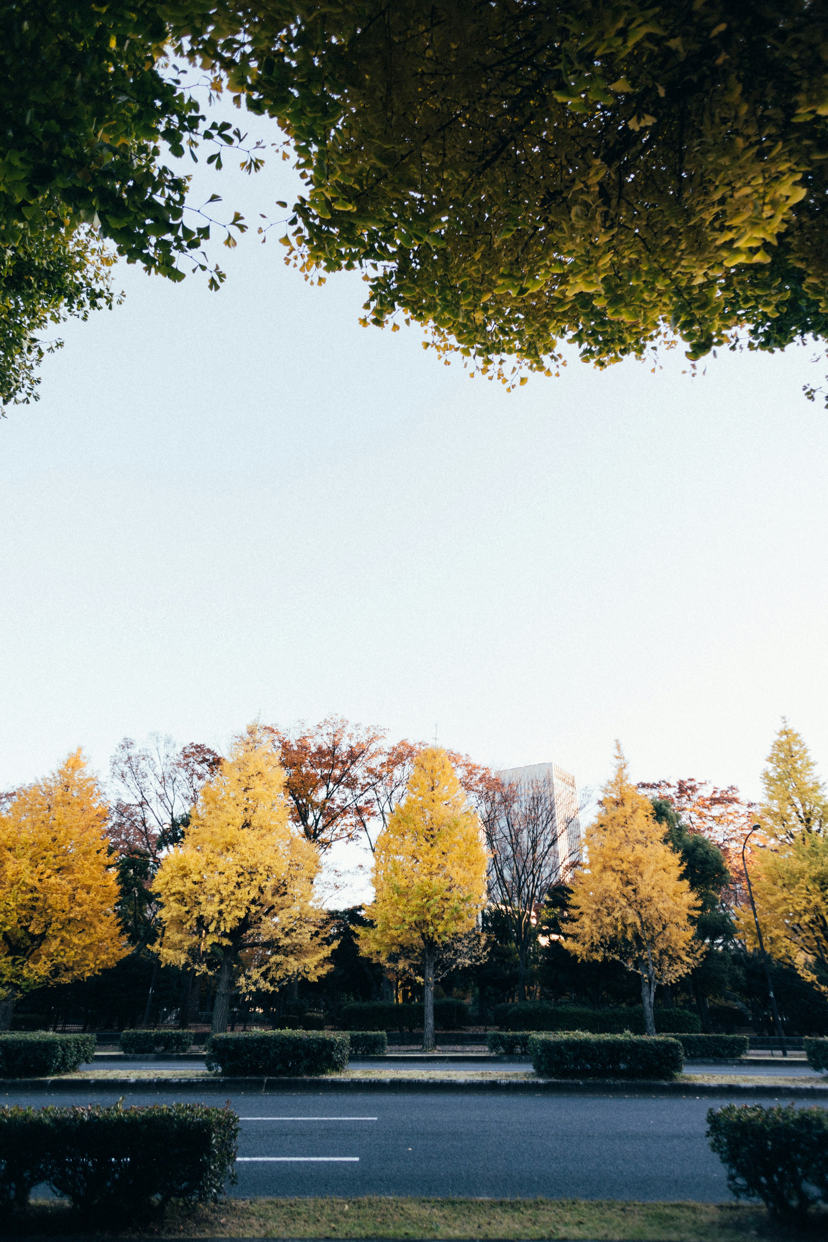 Photo by tsuyoshikozu