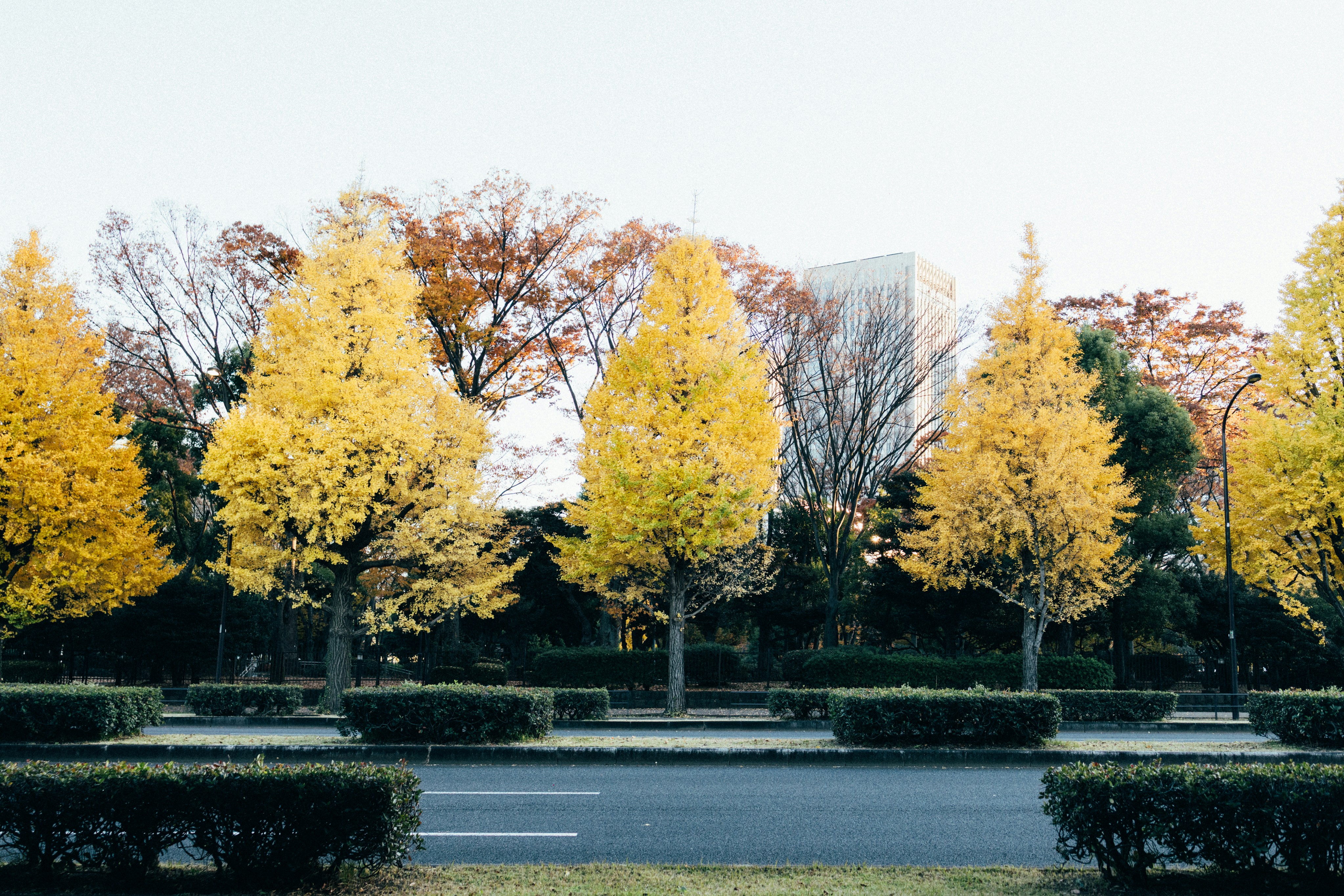 Photo by tsuyoshikozu