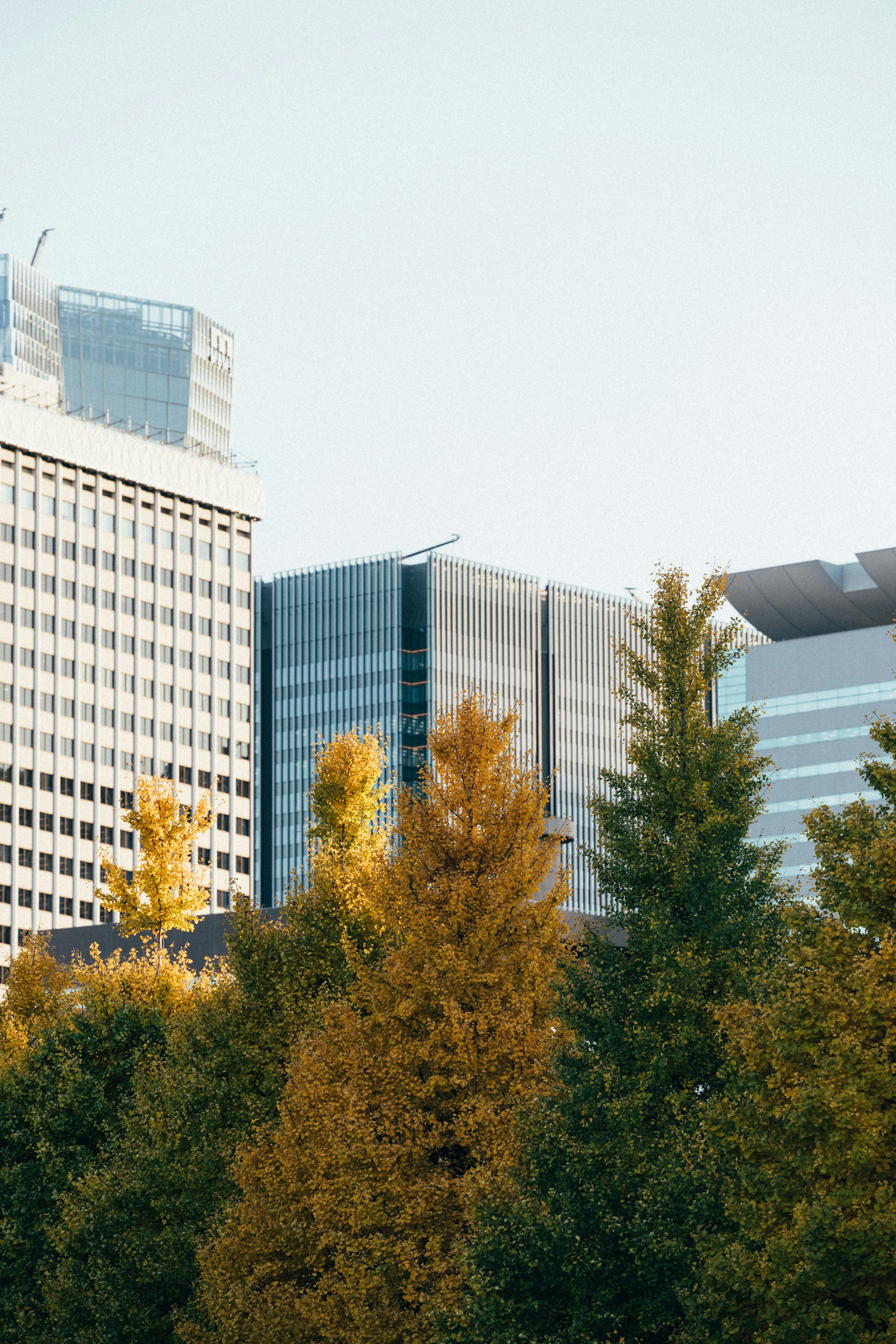 Photo by tsuyoshikozu