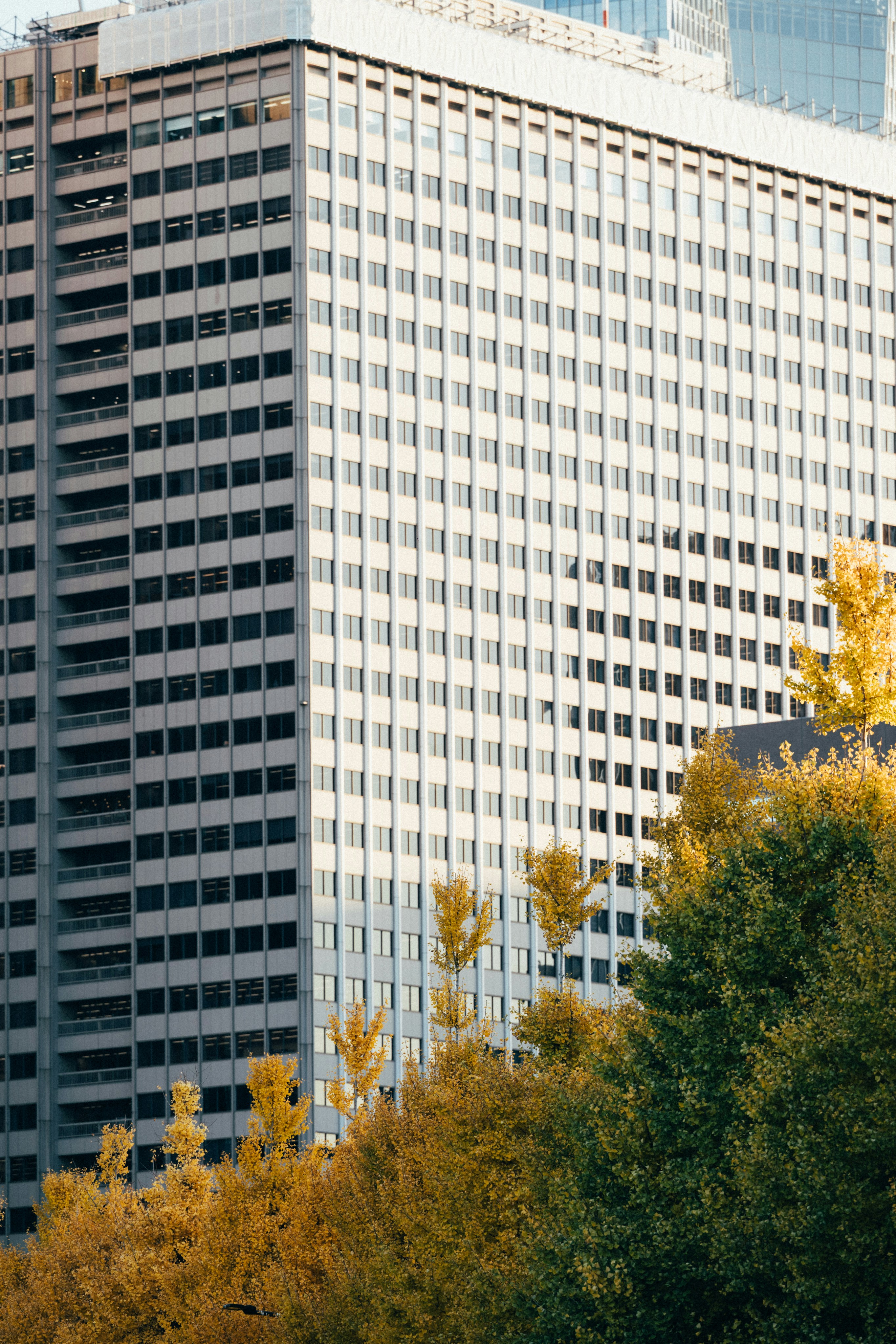 Photo by tsuyoshikozu