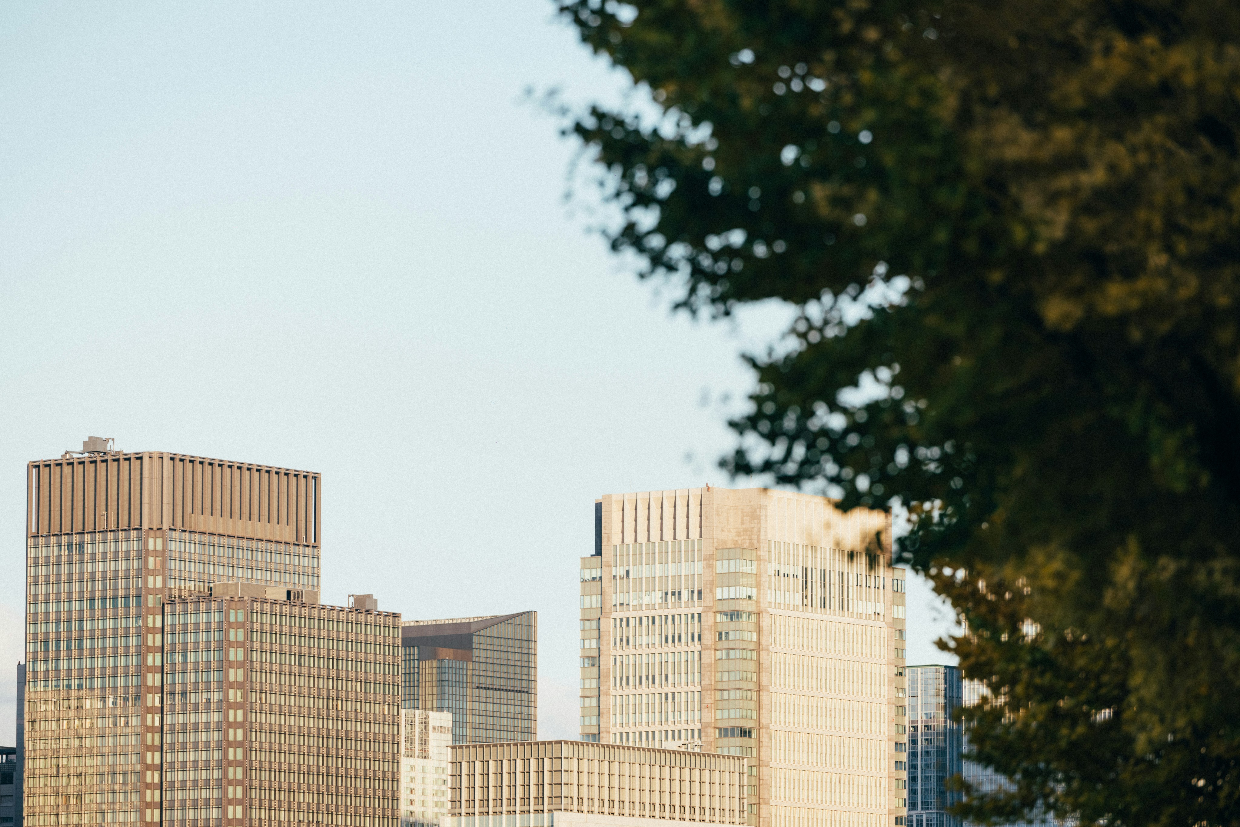 Photo by tsuyoshikozu