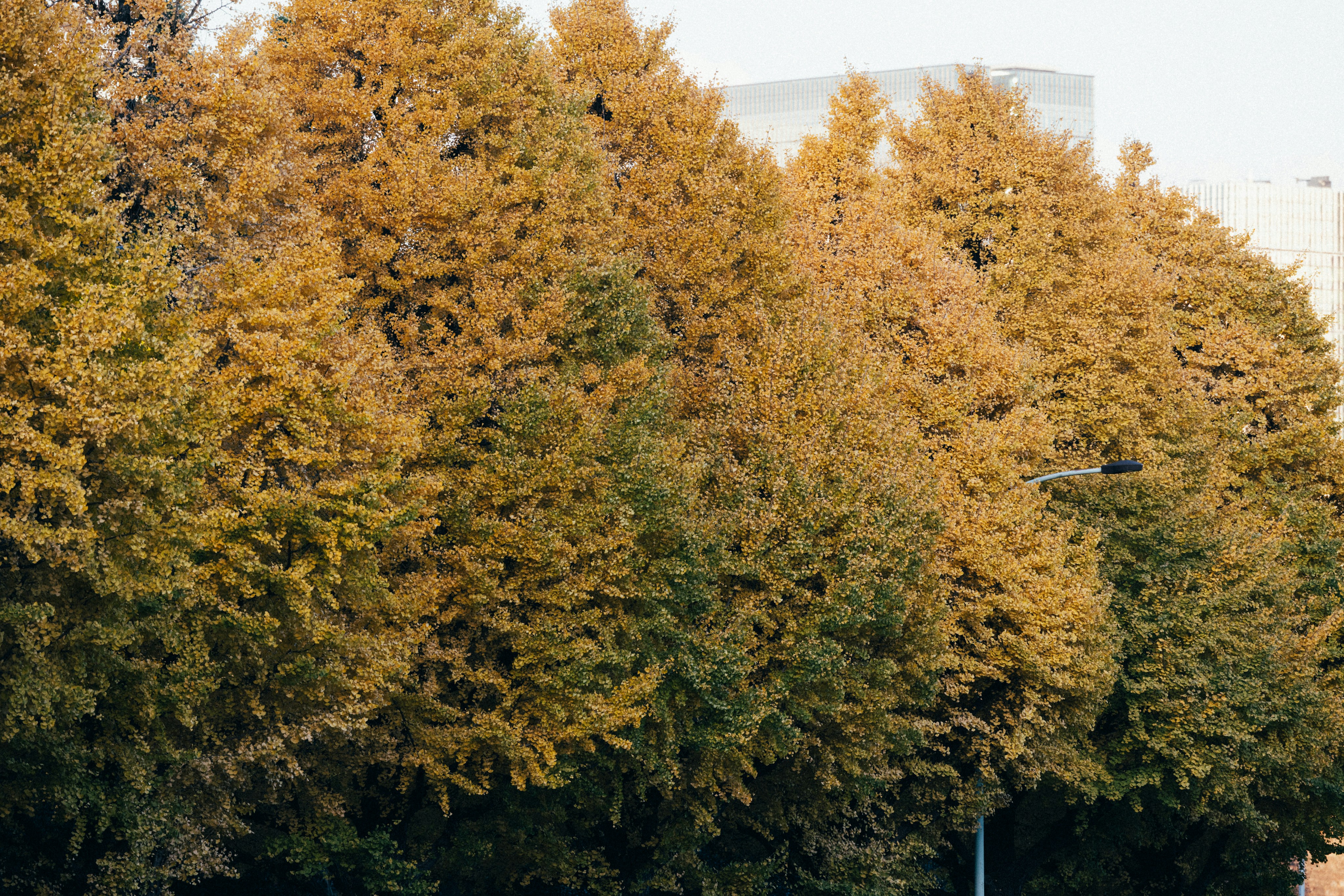 Photo by tsuyoshikozu