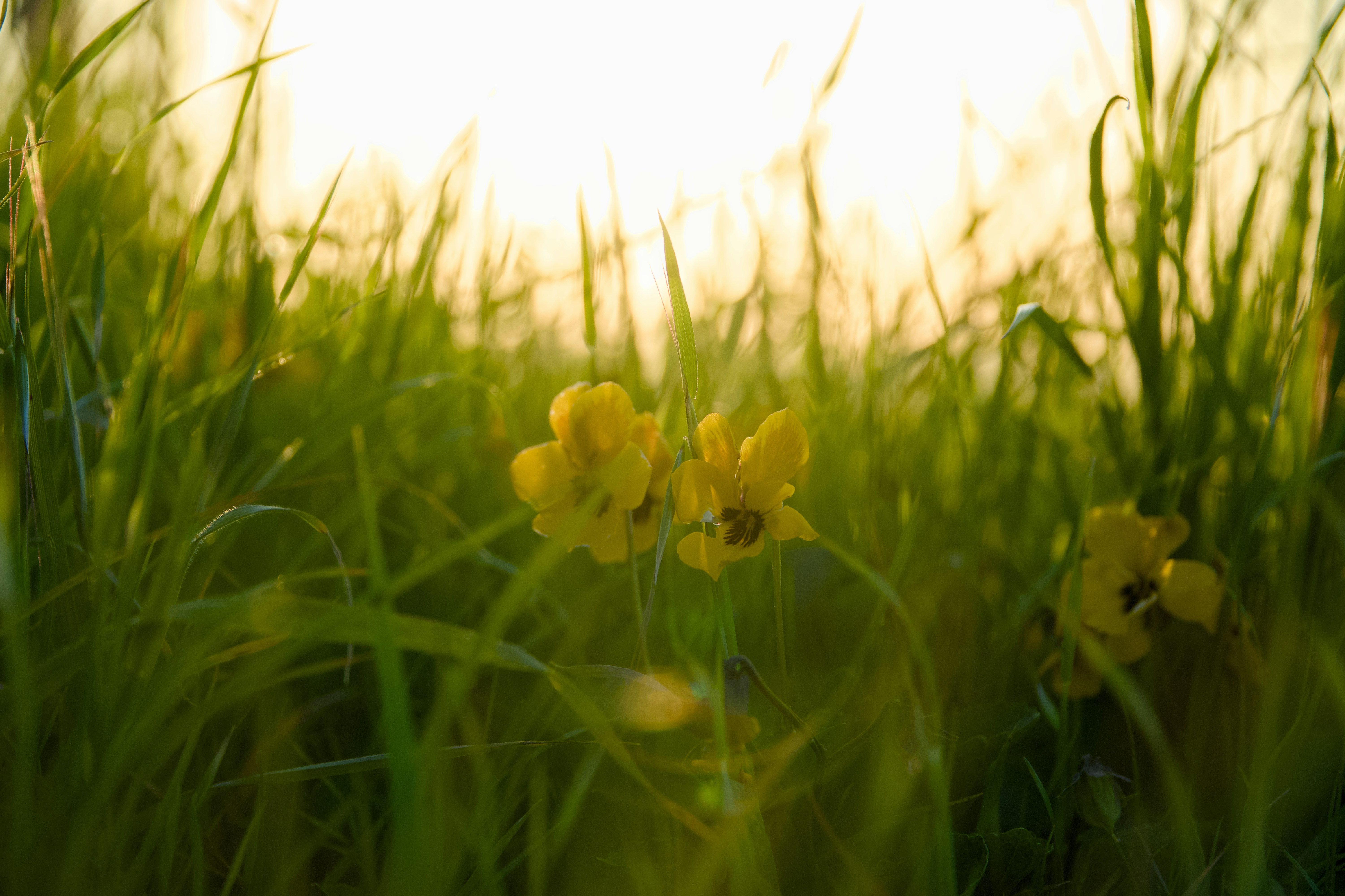 Photo by spencer_demera