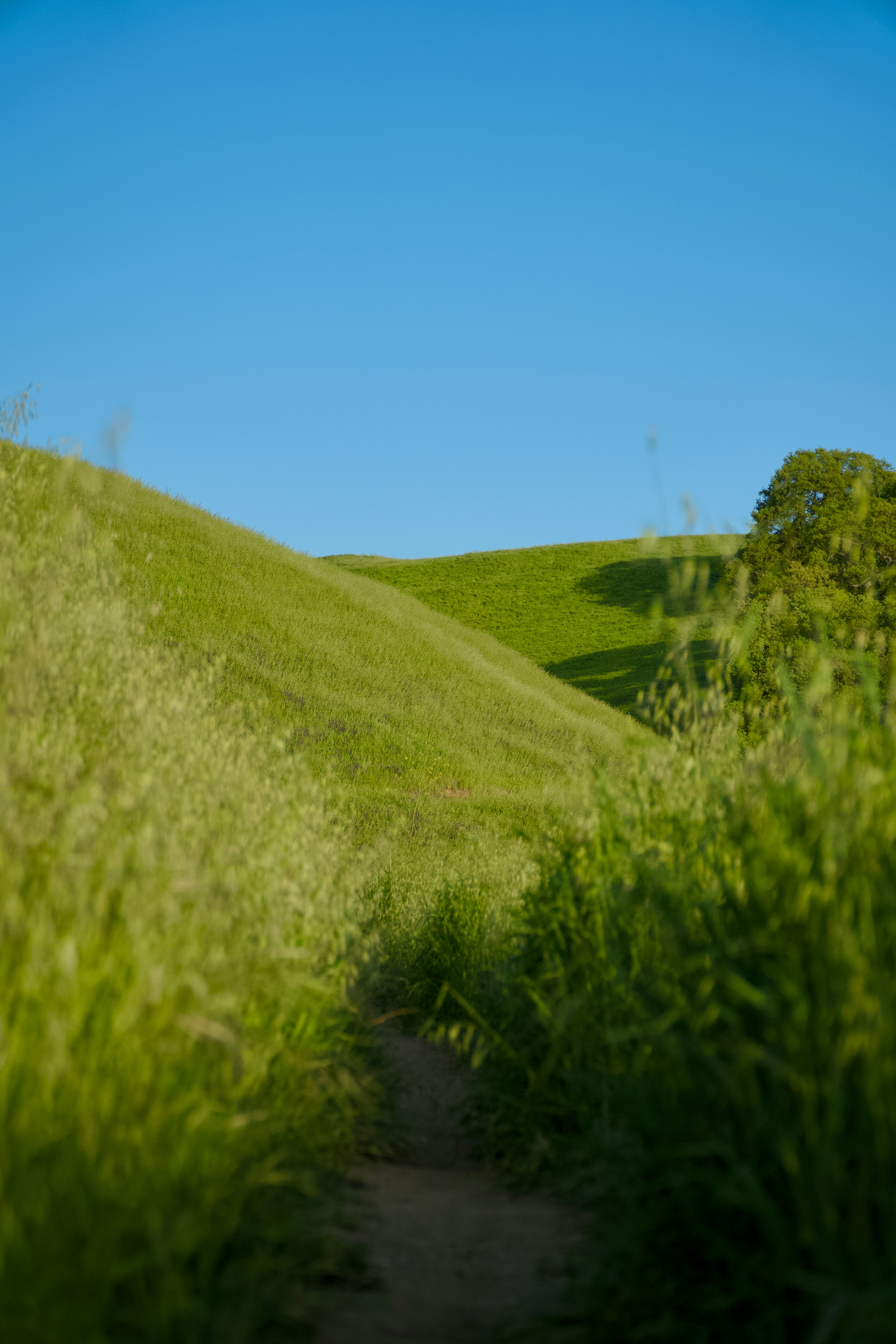 Photo by spencer_demera