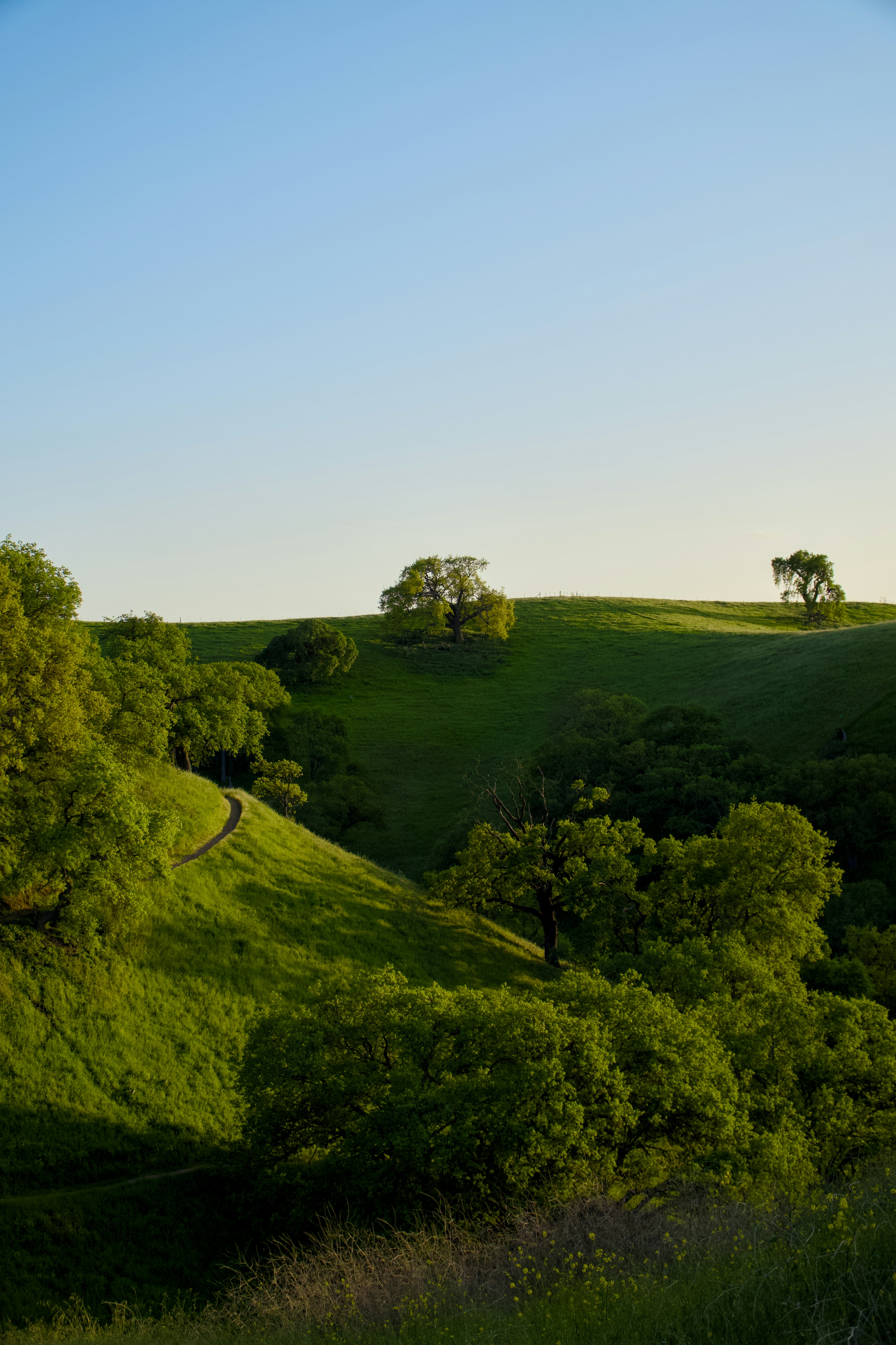 Photo by spencer_demera