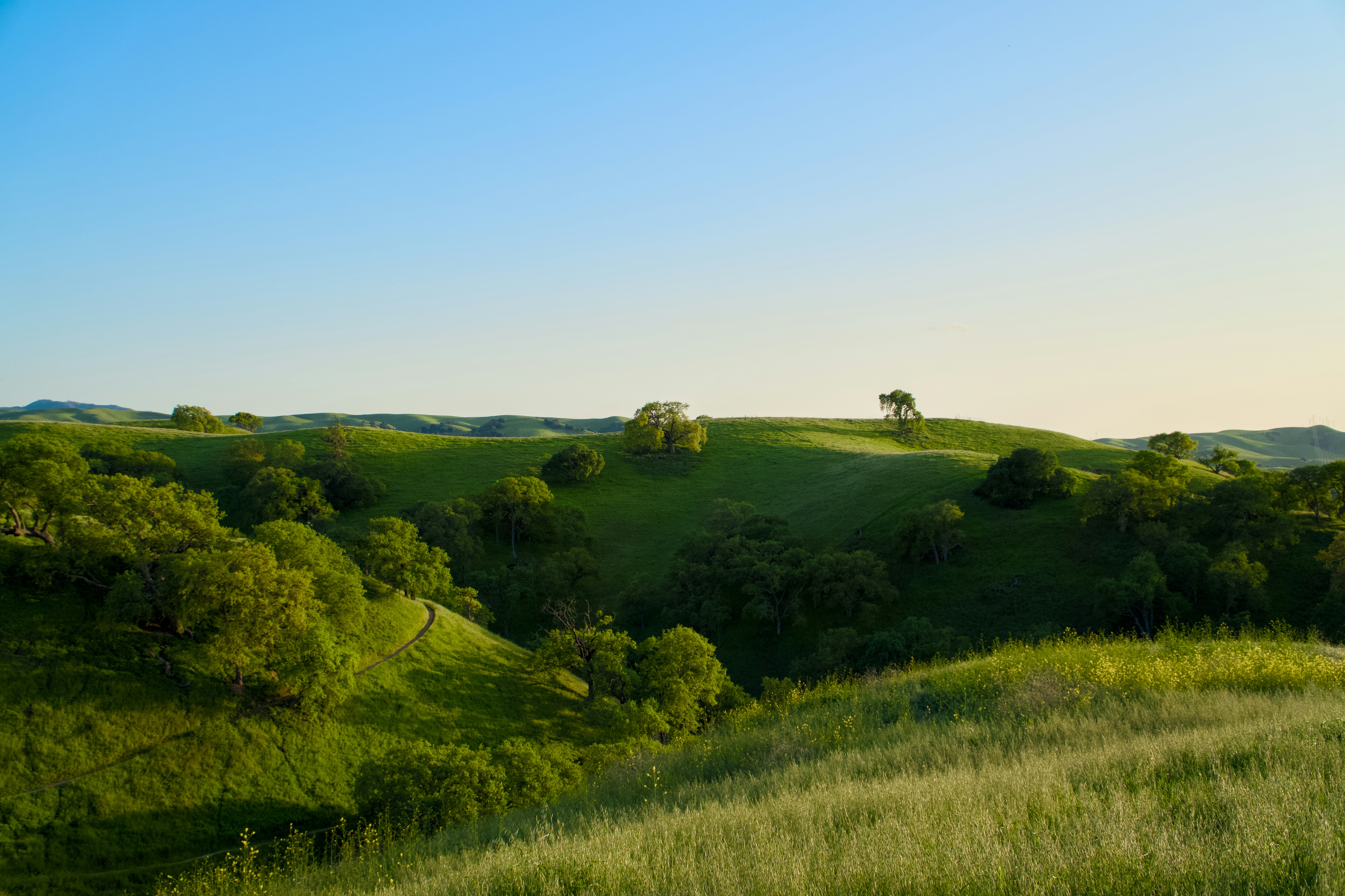 Photo by spencer_demera