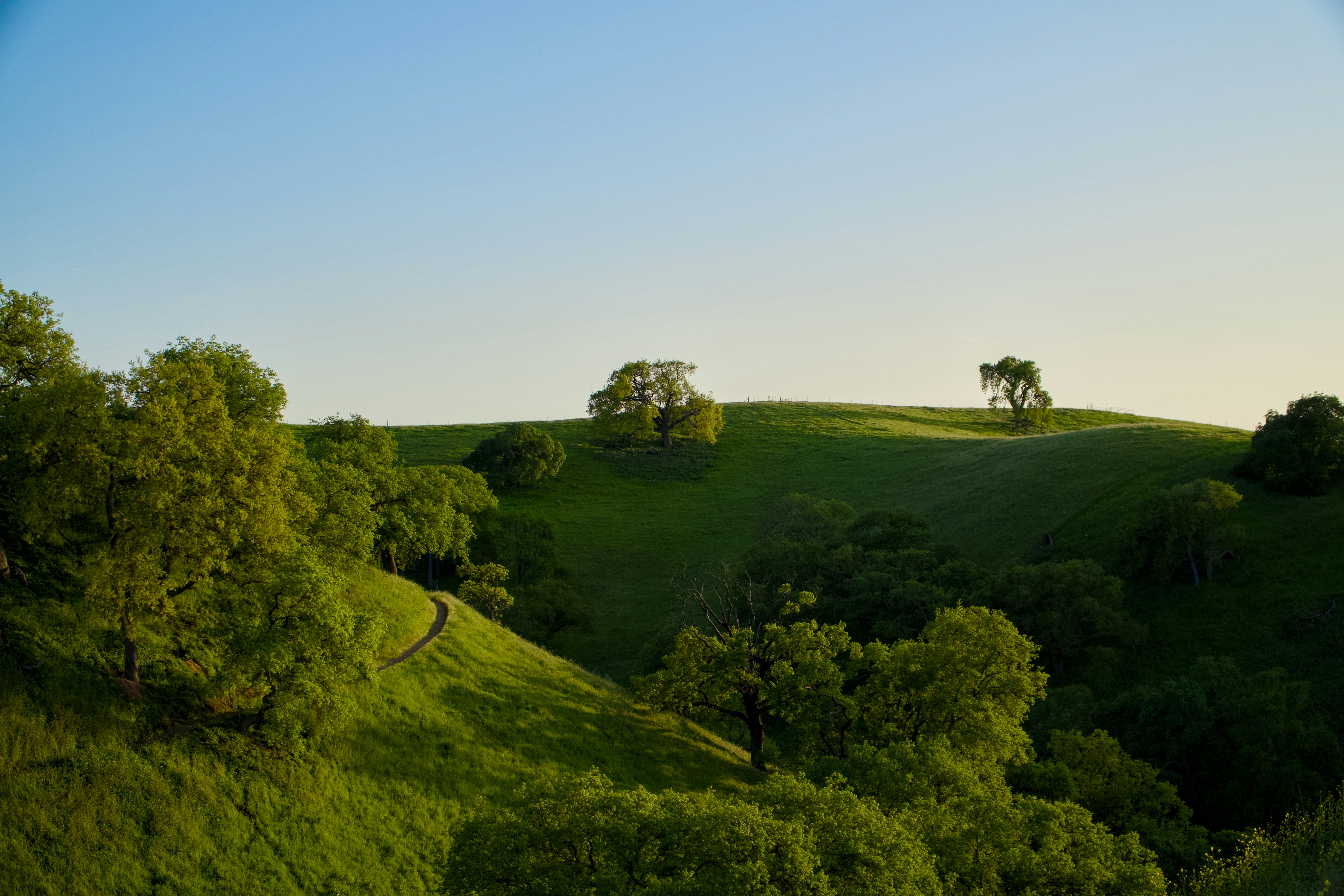 Photo by spencer_demera