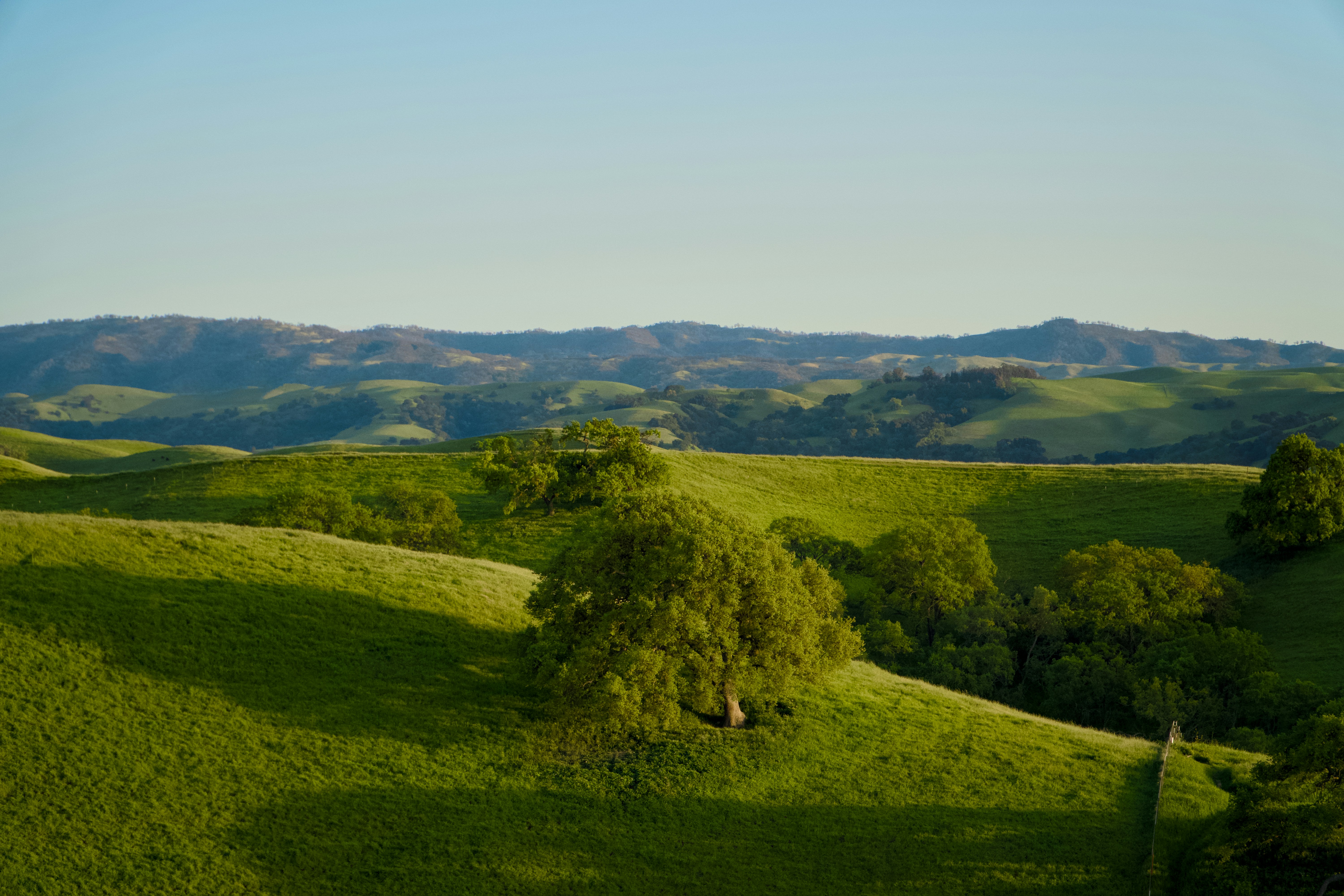 Photo by spencer_demera