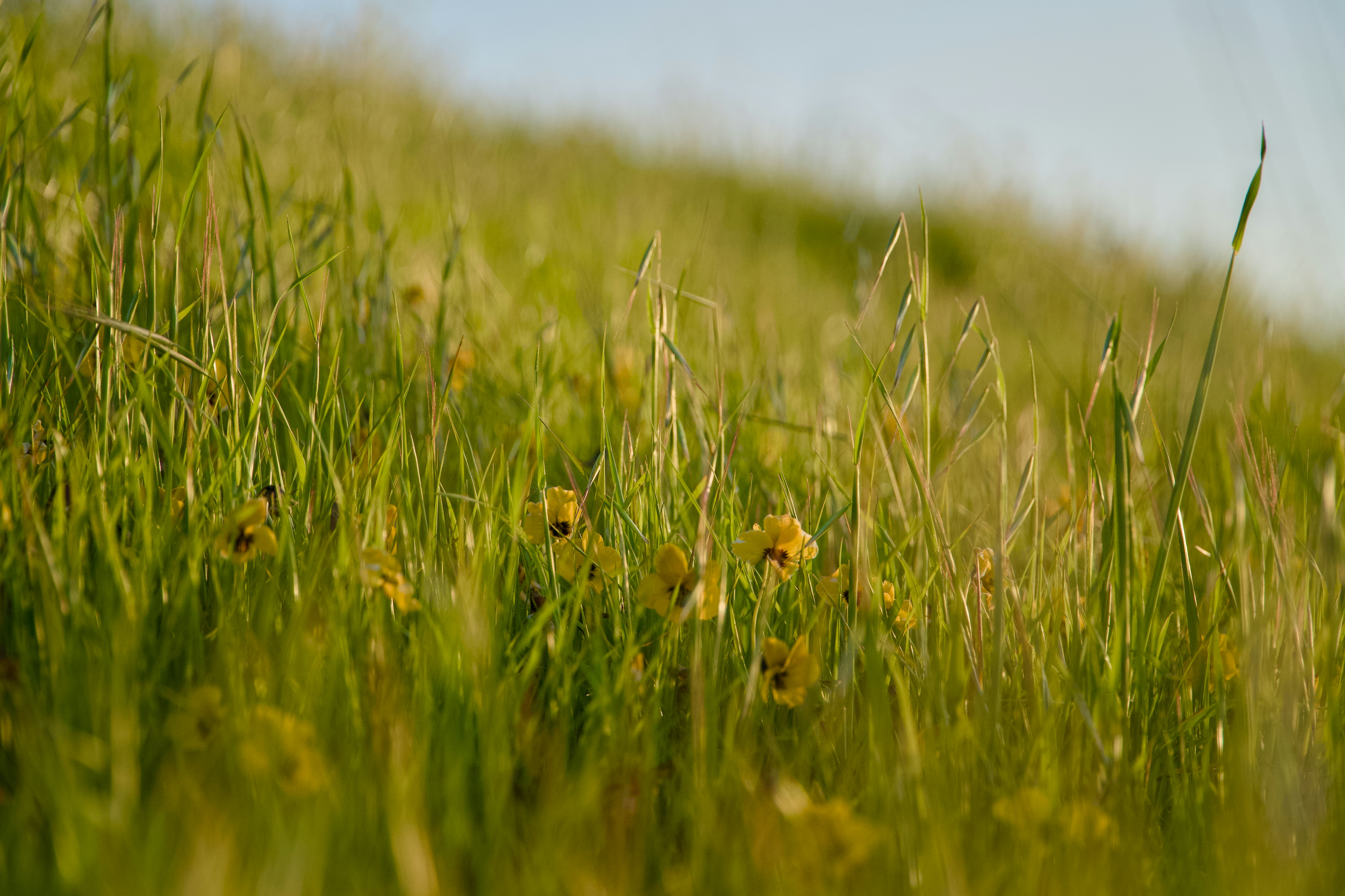 Photo by spencer_demera