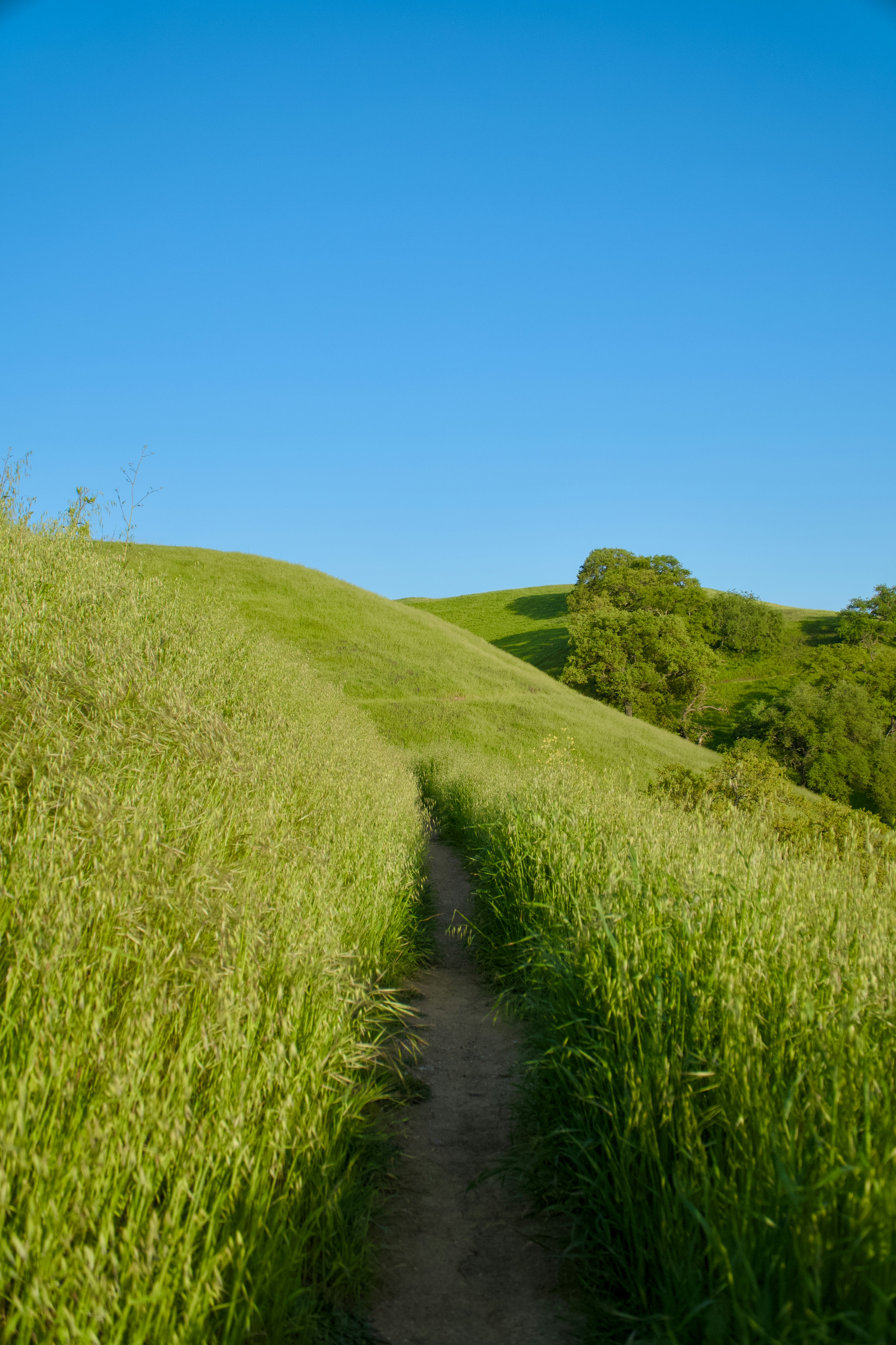 Photo by spencer_demera