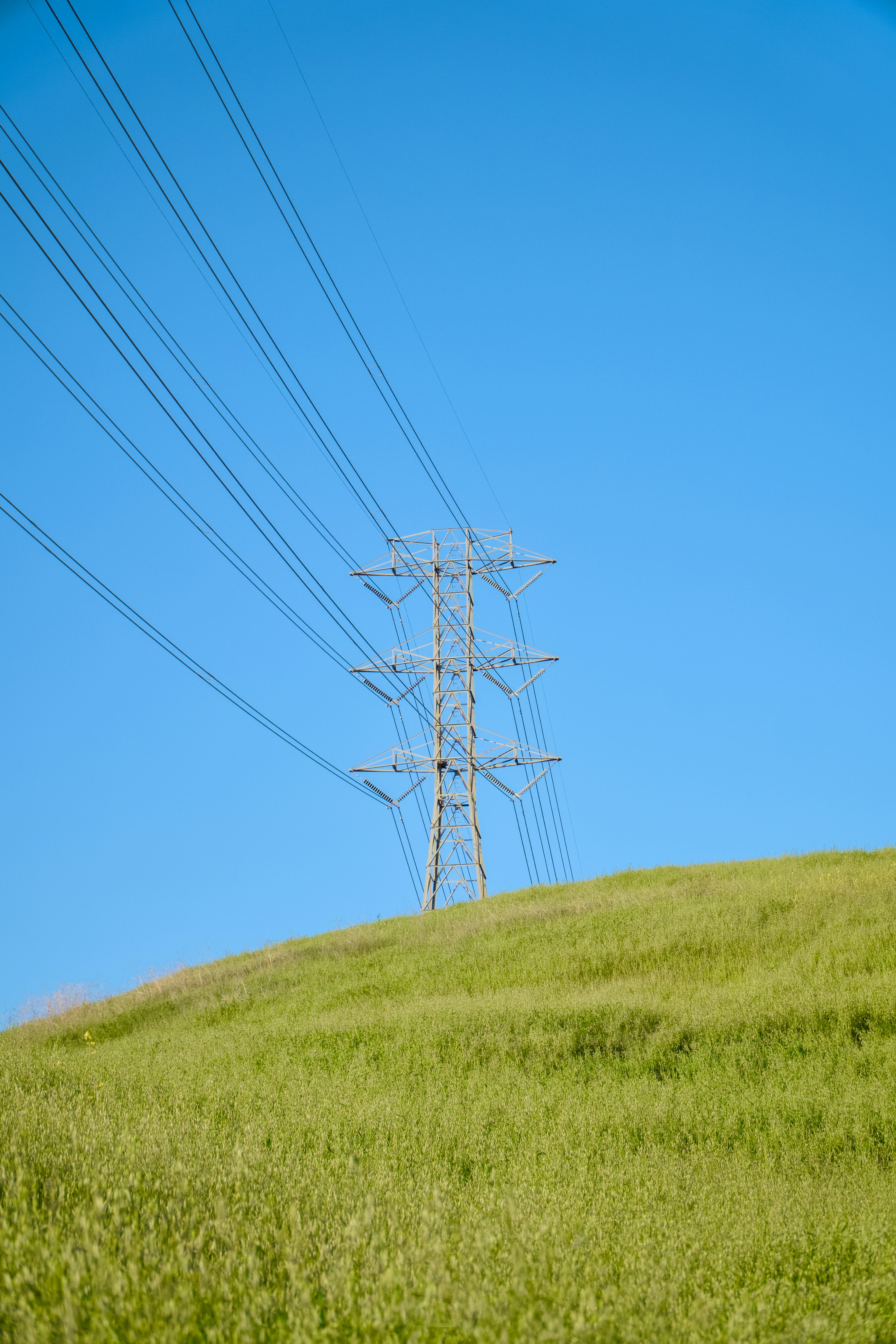 Photo by spencer_demera