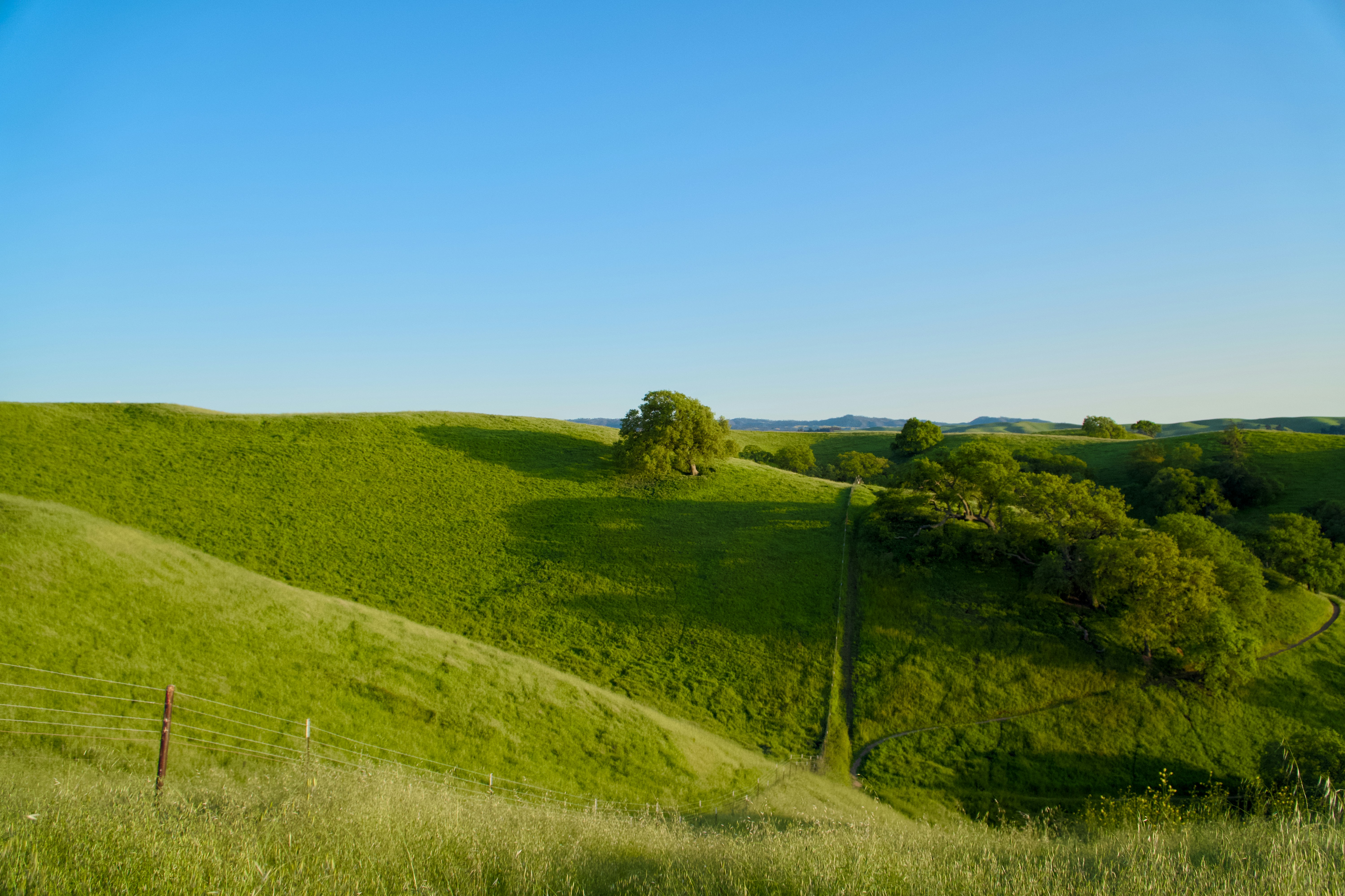 Photo by spencer_demera