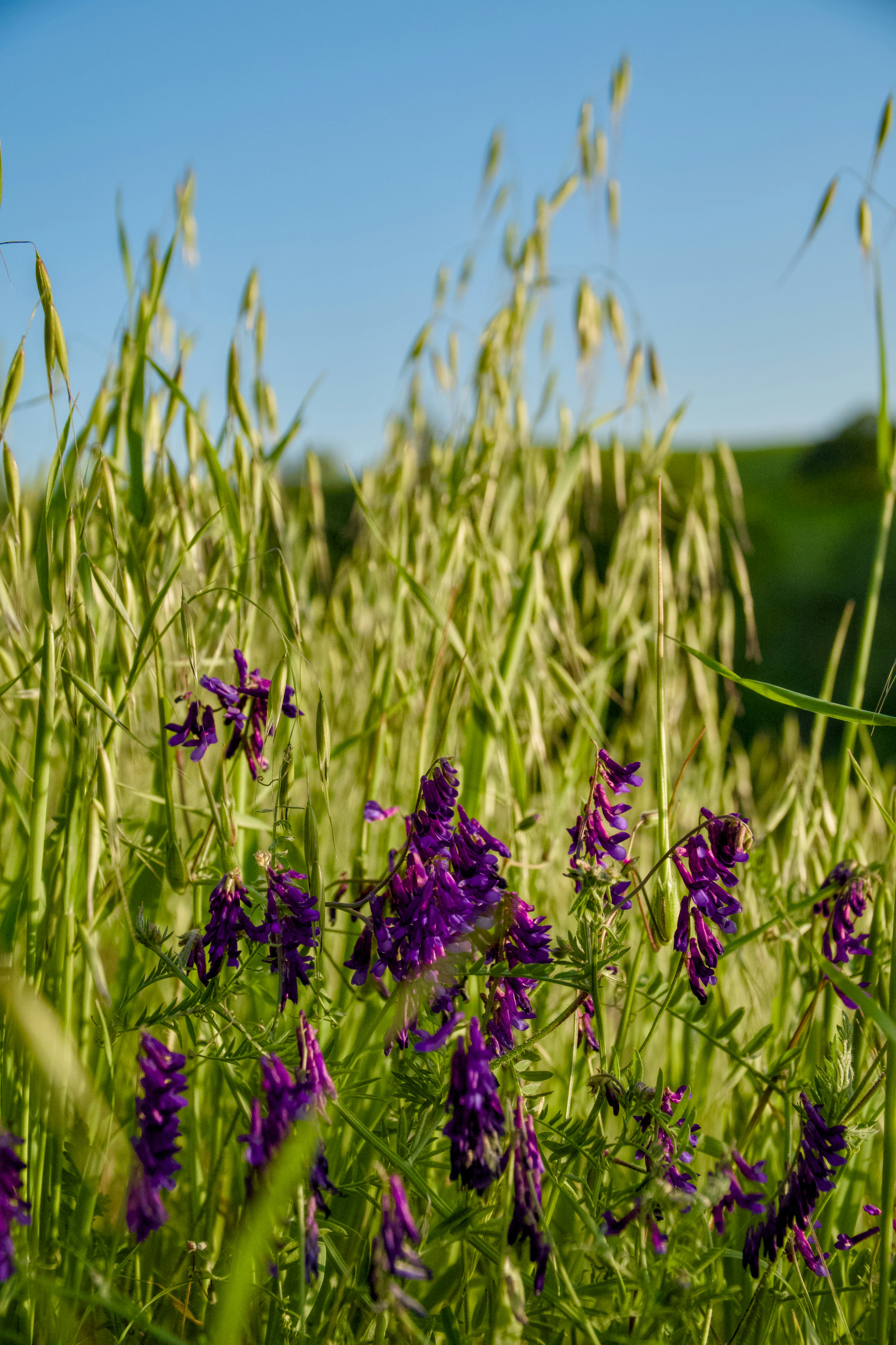 Photo by spencer_demera