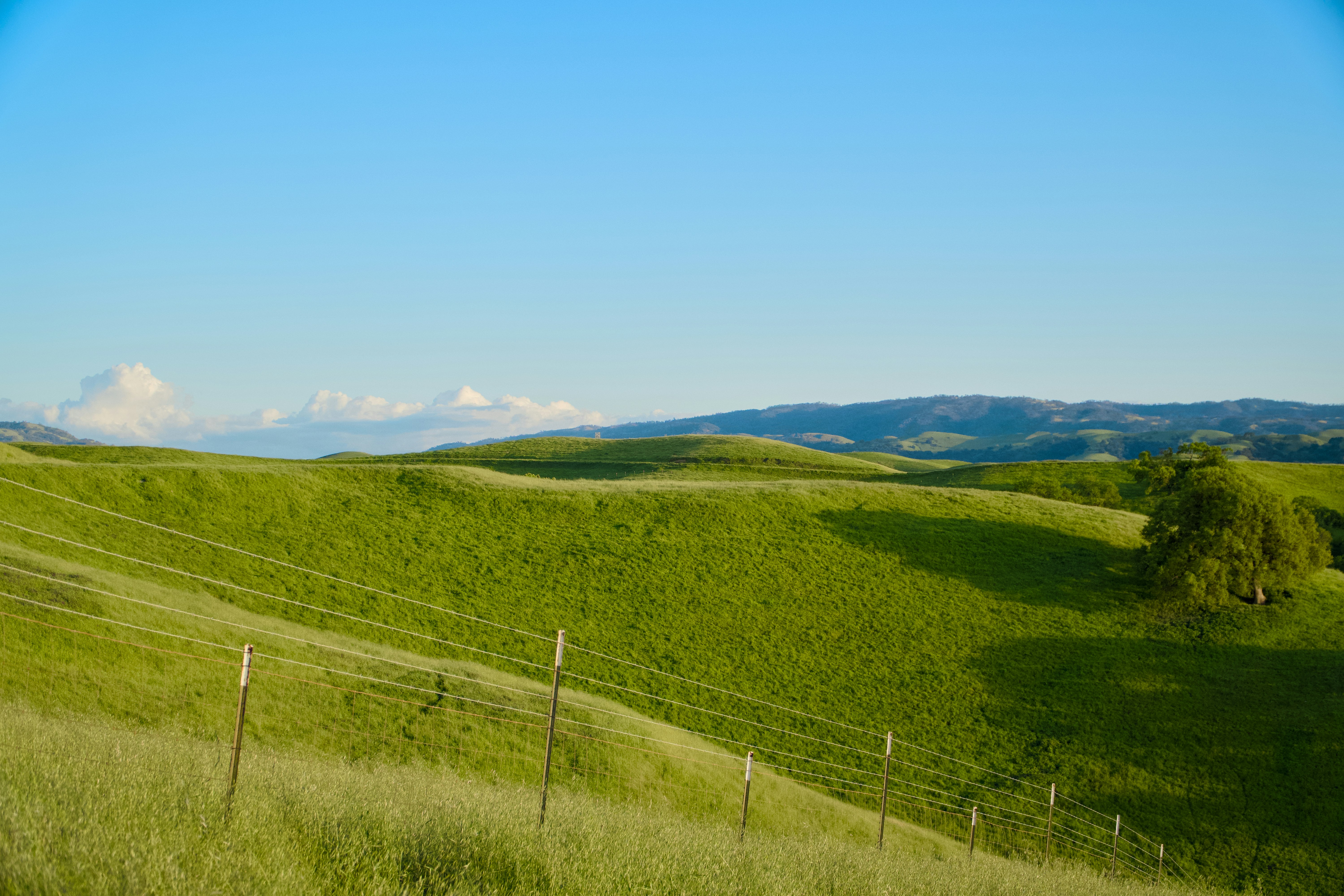 Photo by spencer_demera