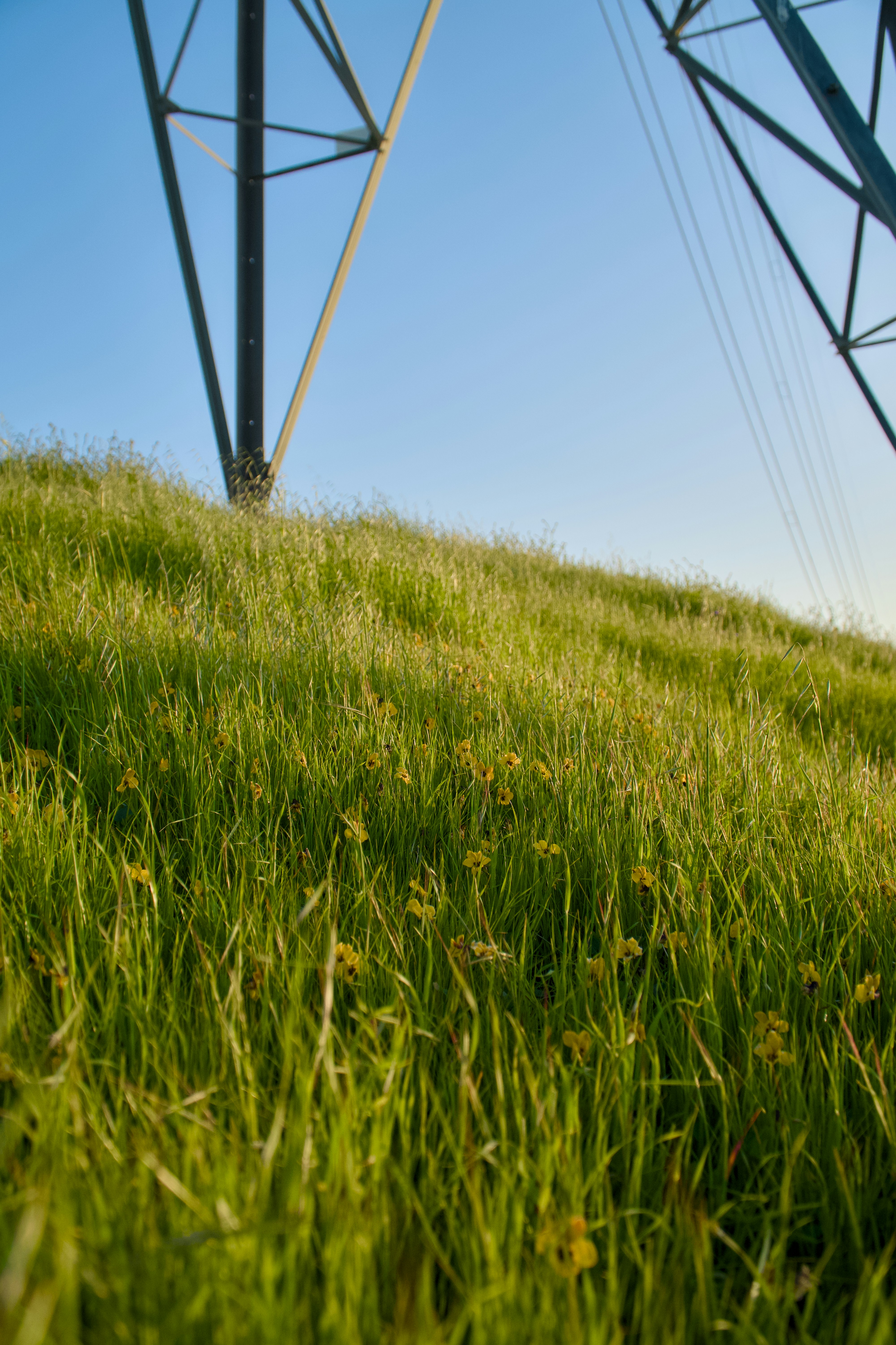 Photo by spencer_demera